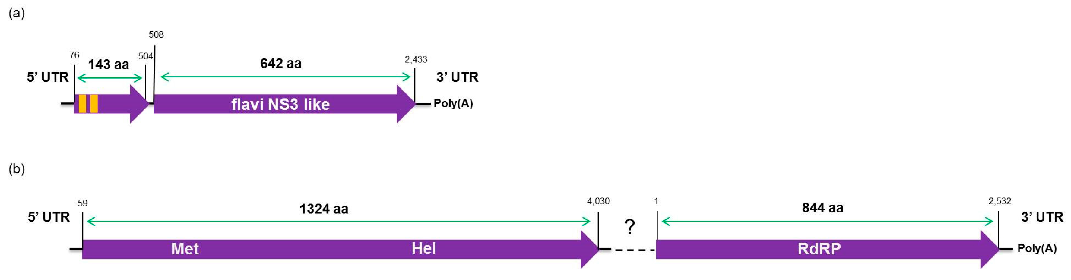 Viruses 09 00092 g006 550