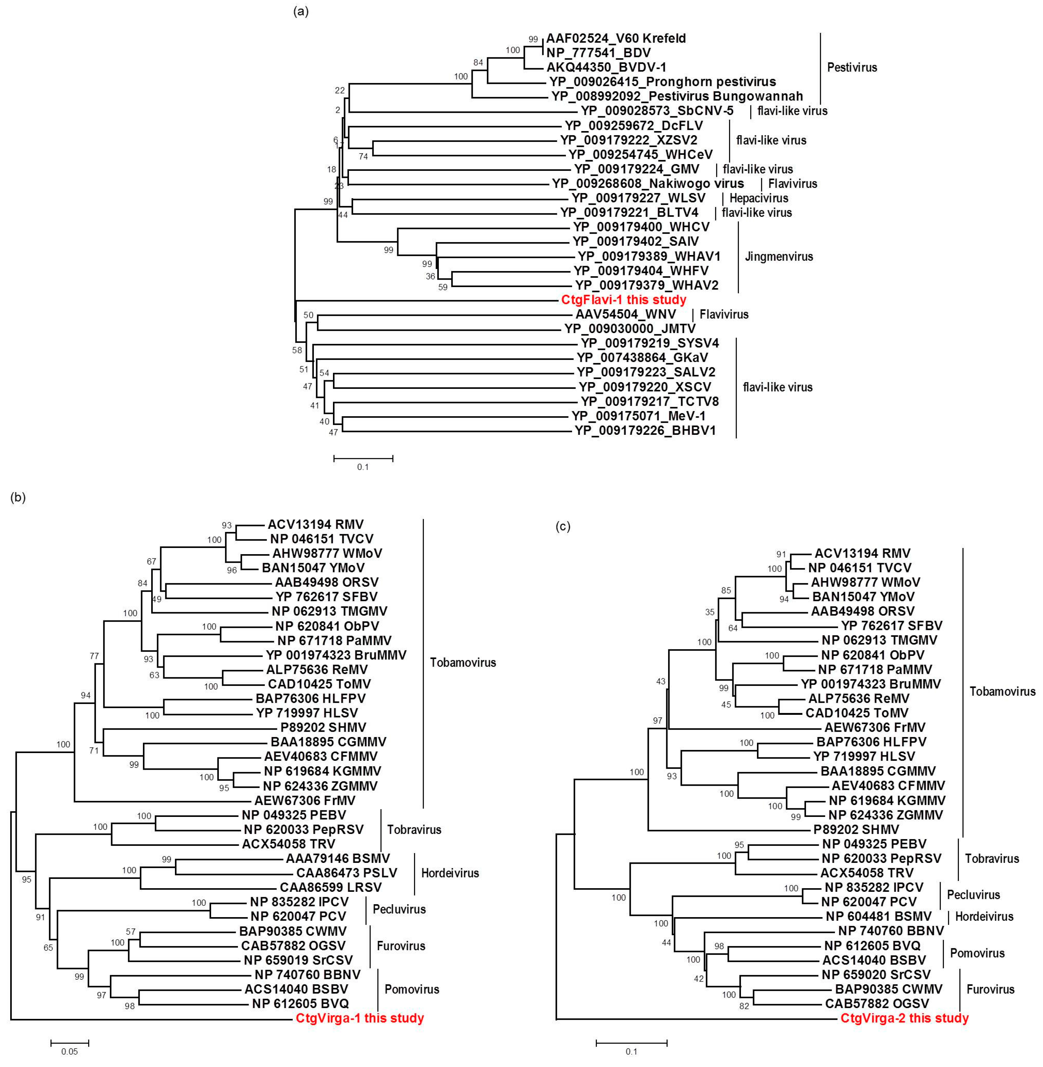 Viruses 09 00092 g007 550