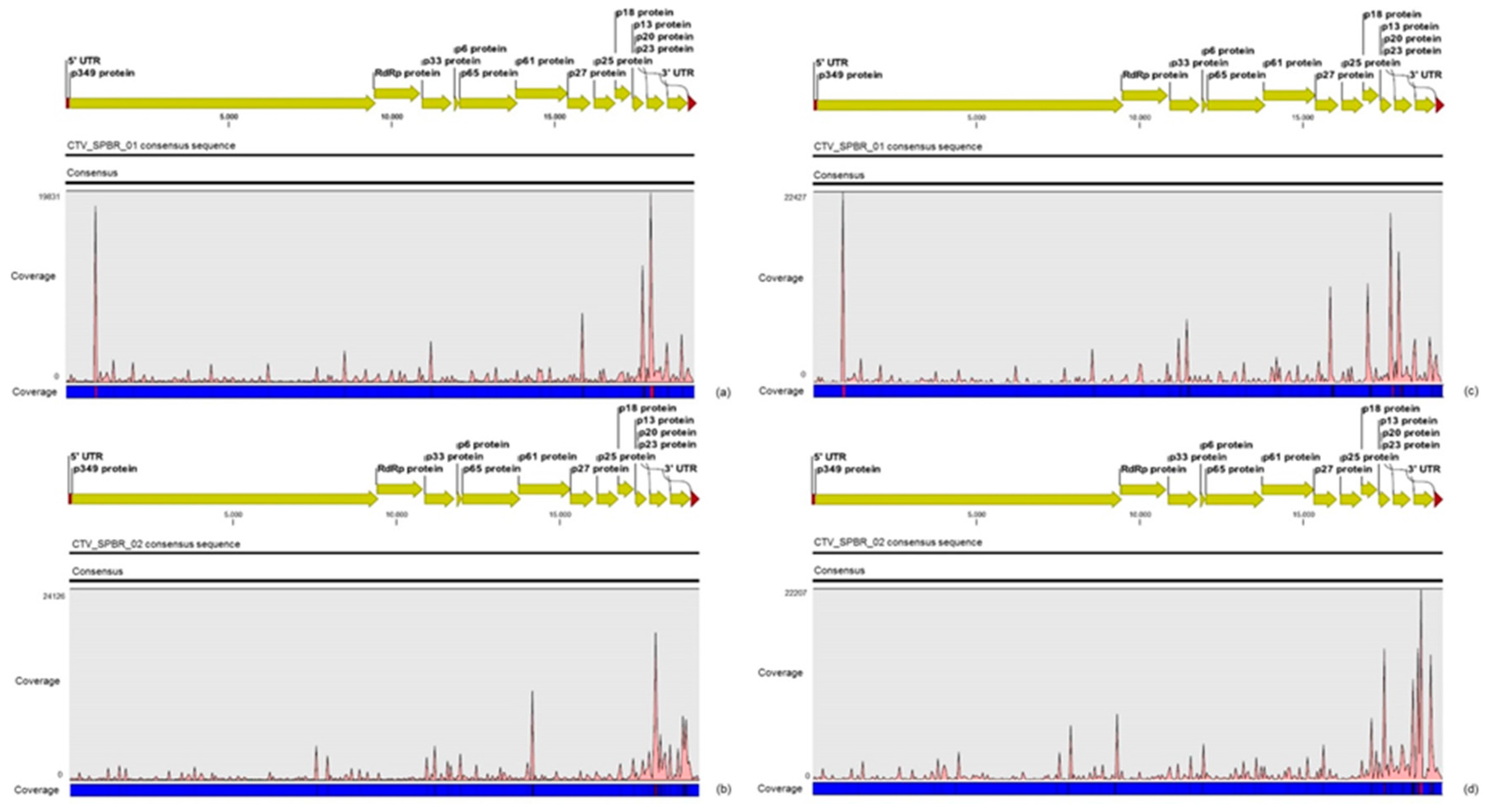 Viruses 09 00092 g008 550