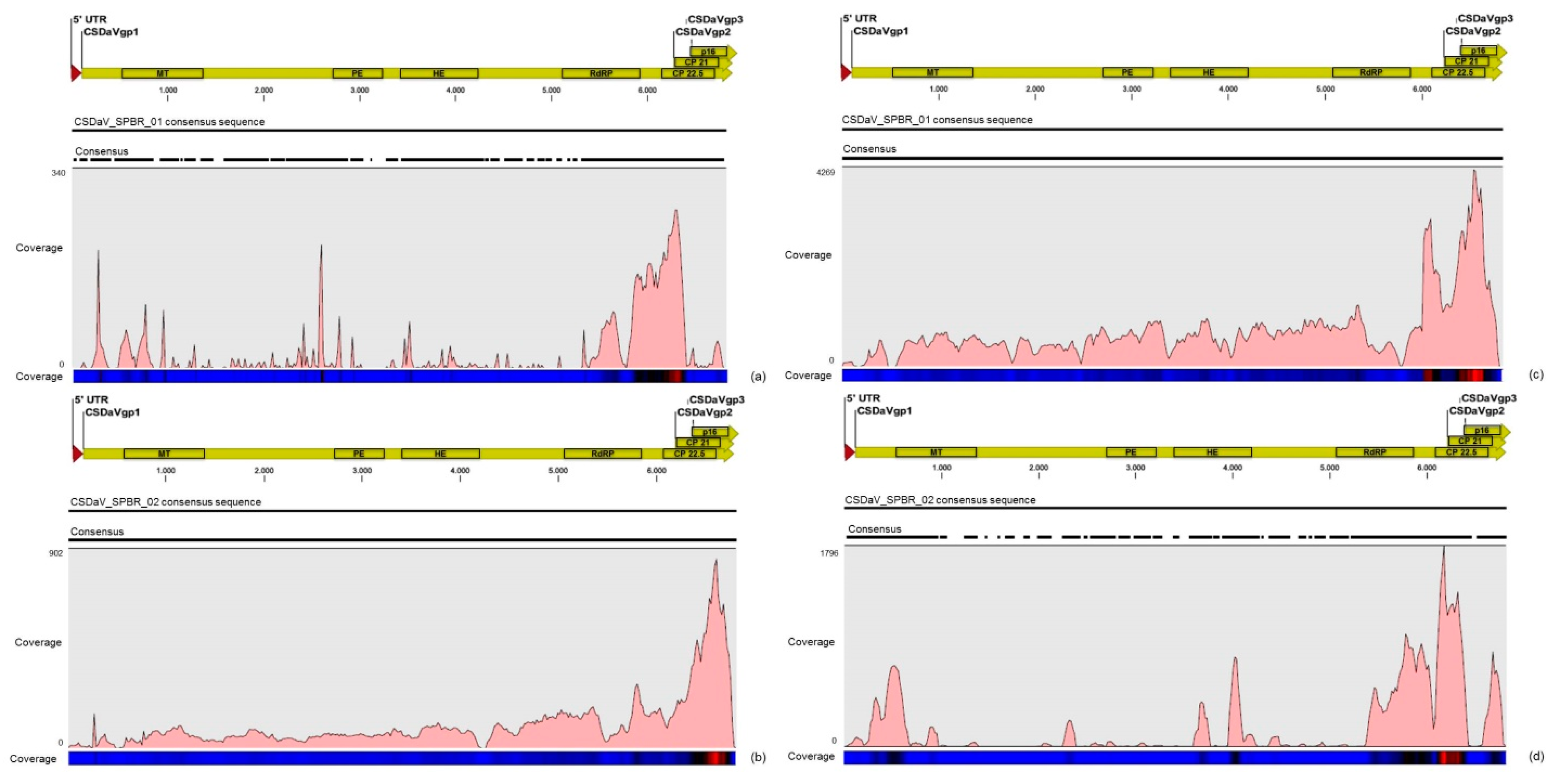 Viruses 09 00092 g009 550