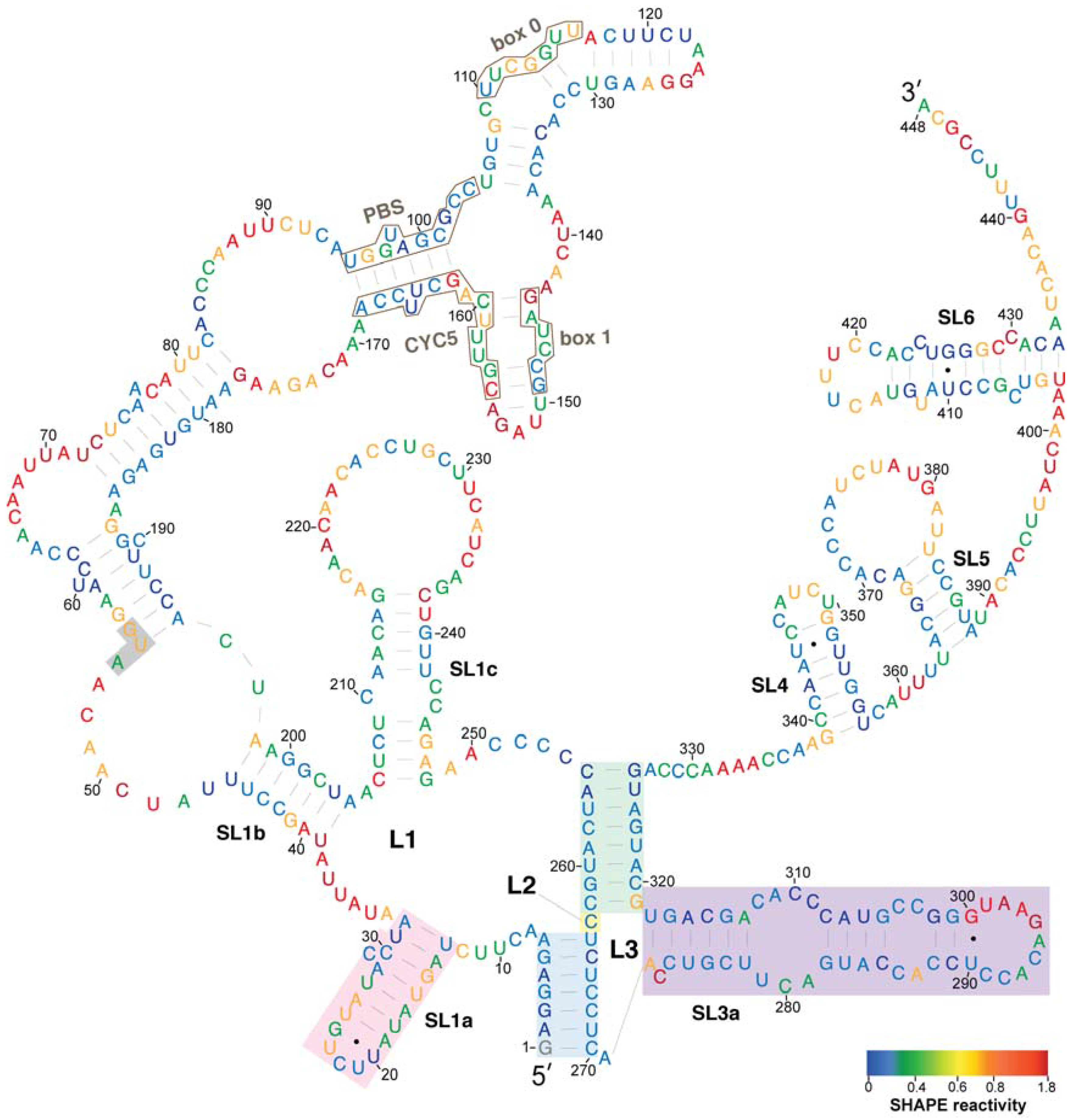 Viruses 09 00093 g002