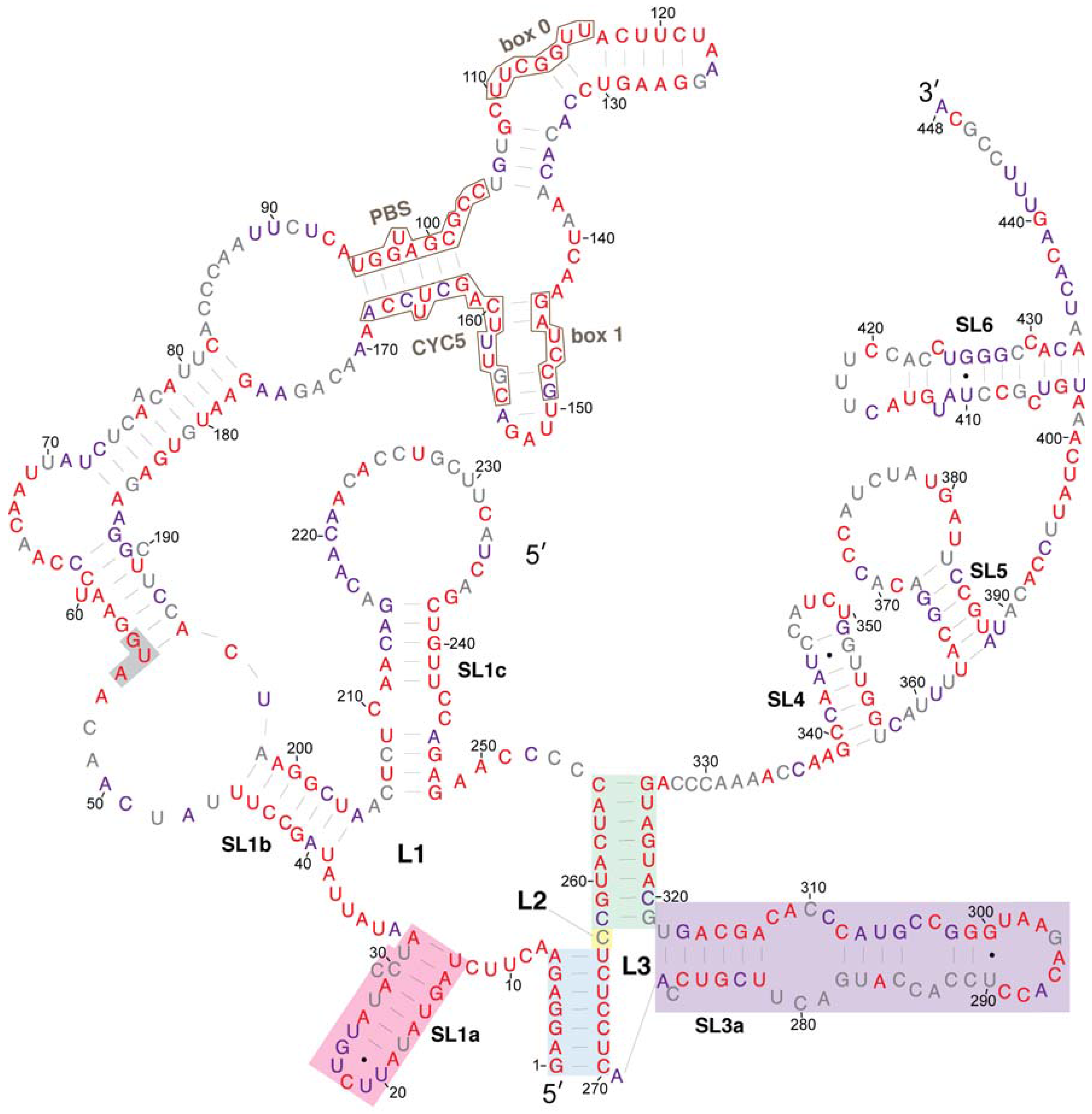 Viruses 09 00093 g004