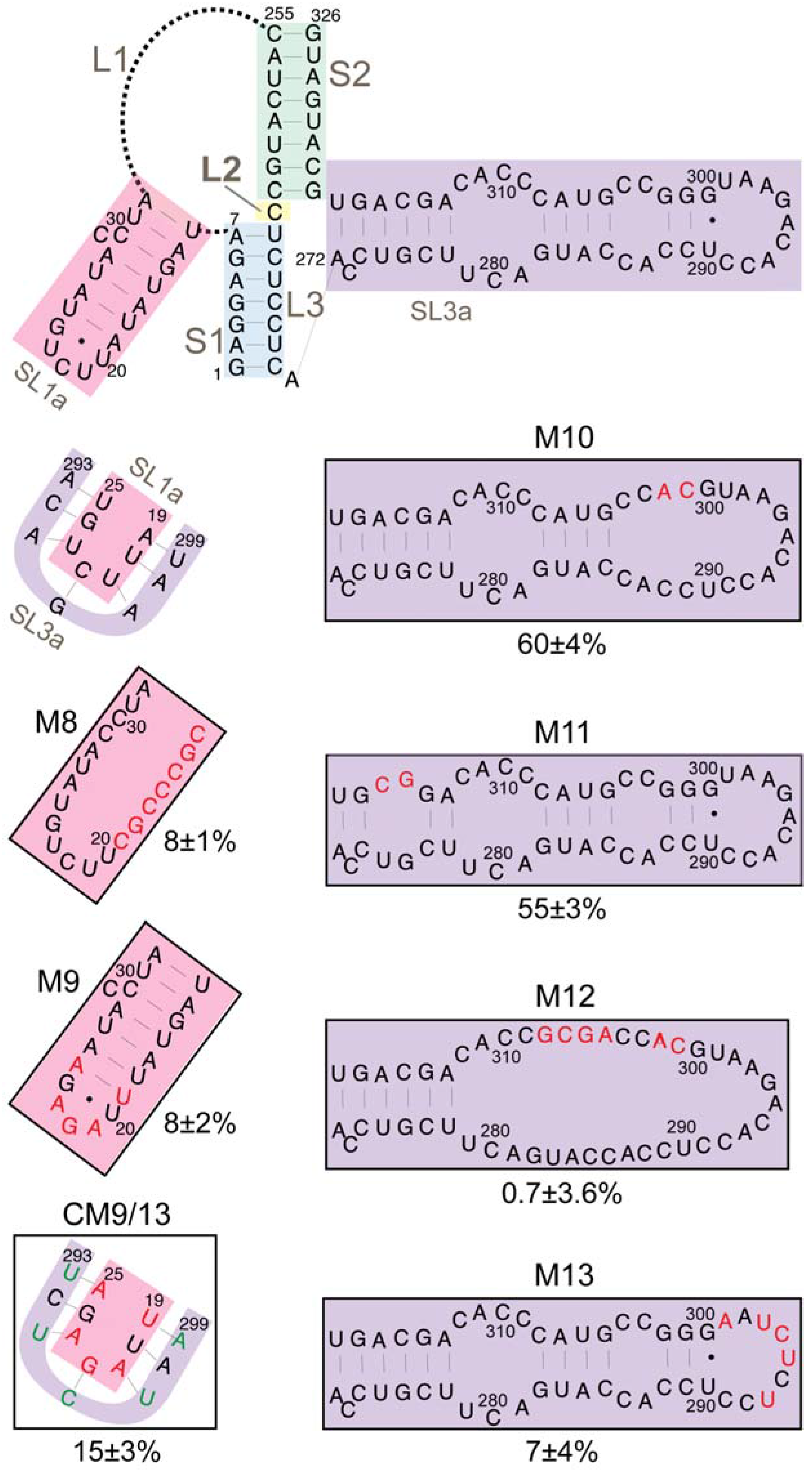Viruses 09 00093 g007