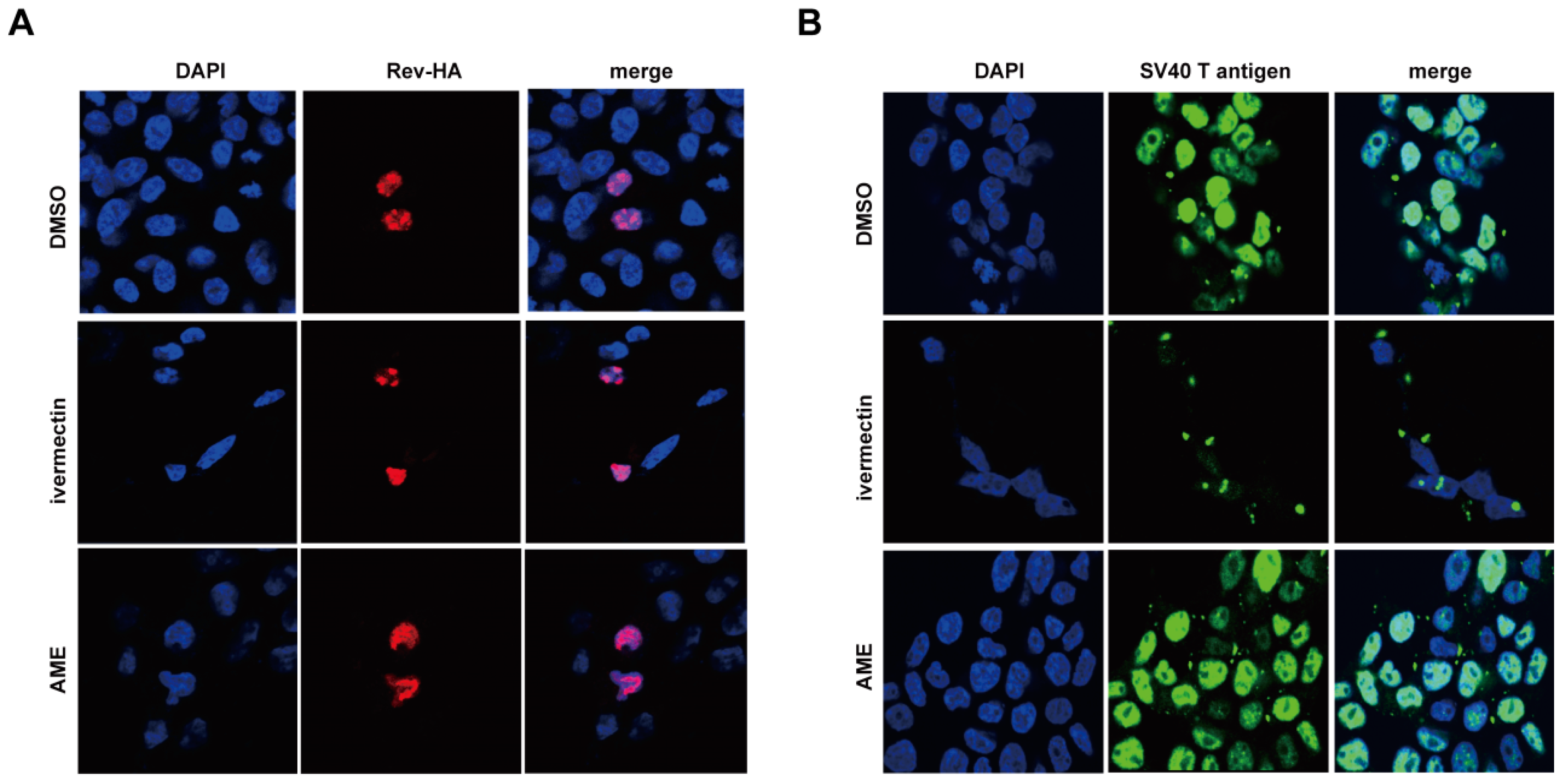 Viruses 09 00105 g005 550