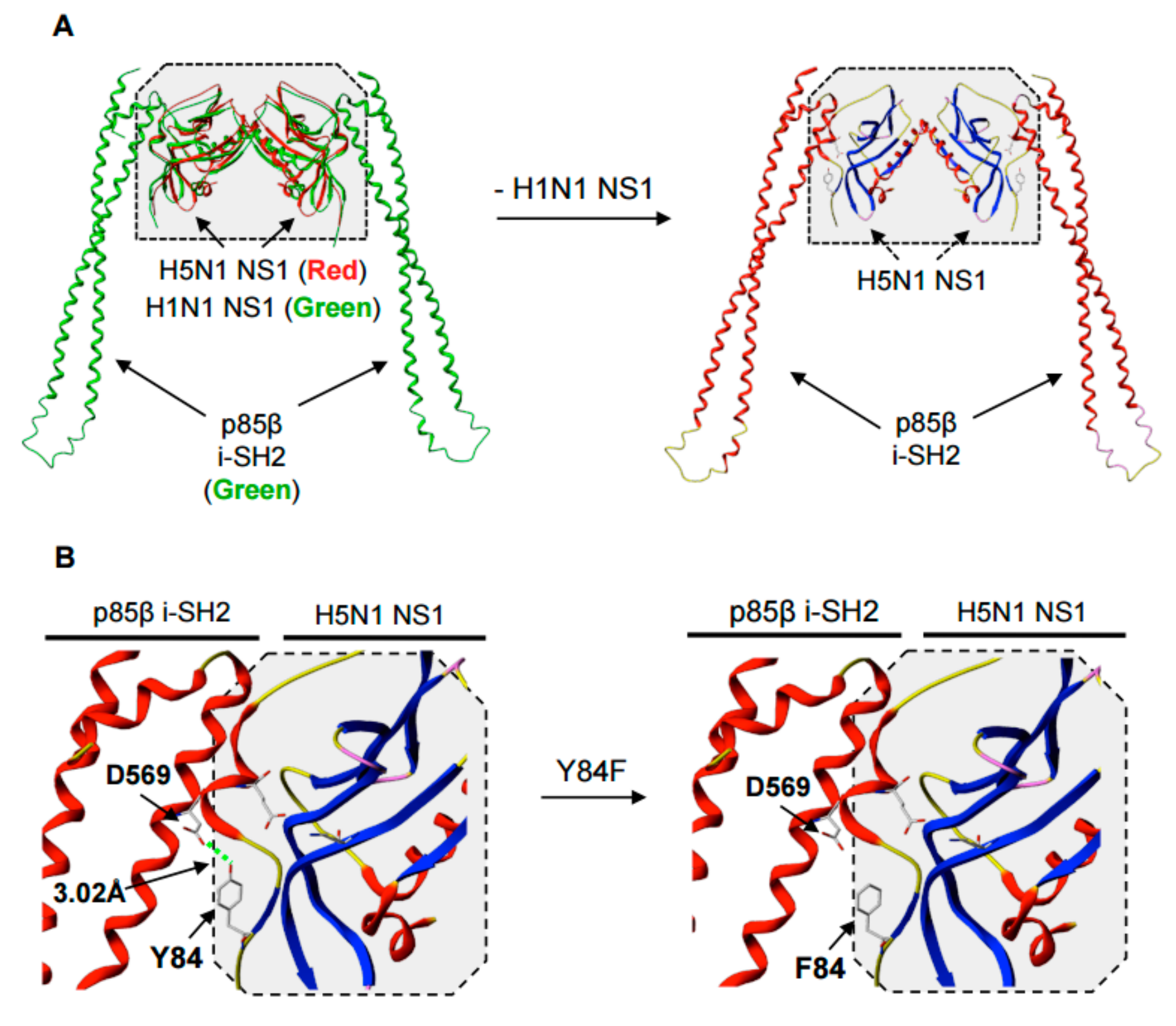 Viruses 09 00107 g001