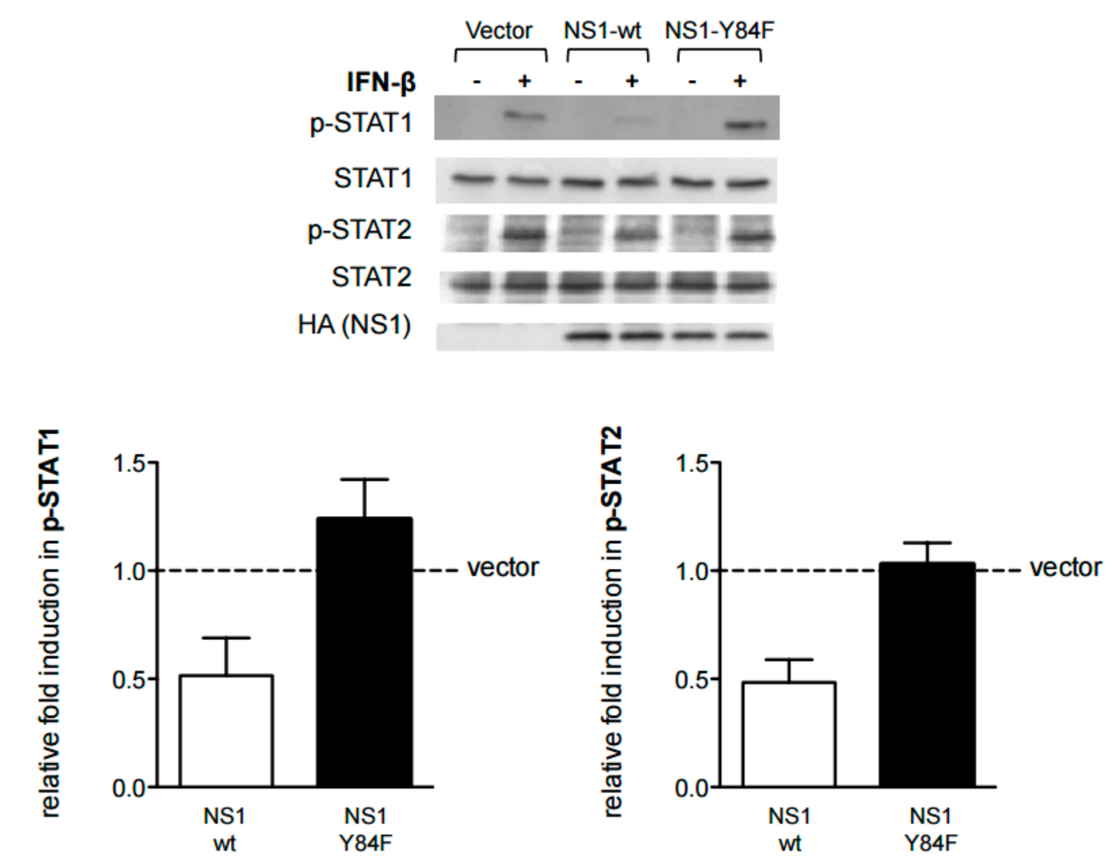 Viruses 09 00107 g003