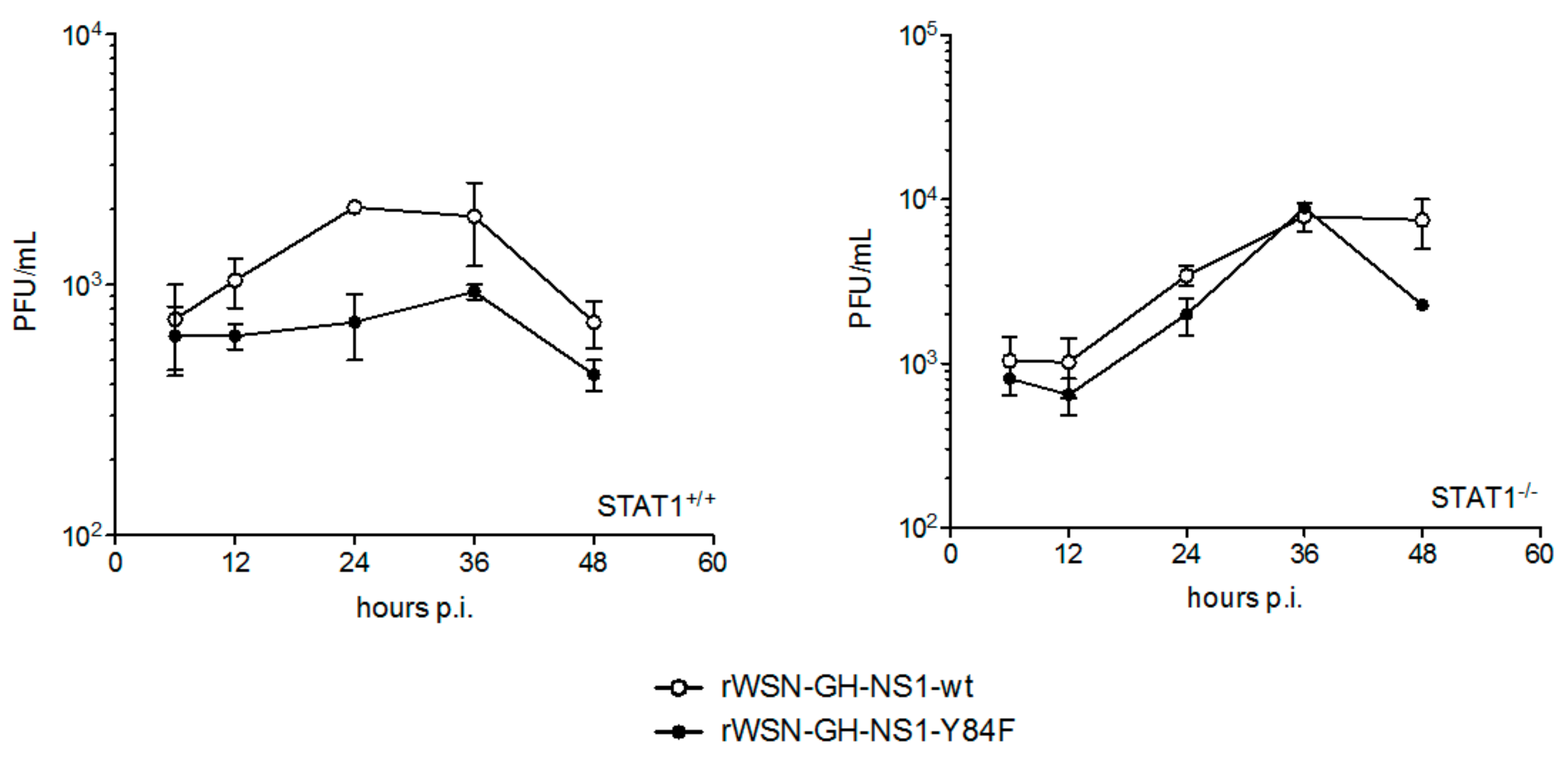 Viruses 09 00107 g008