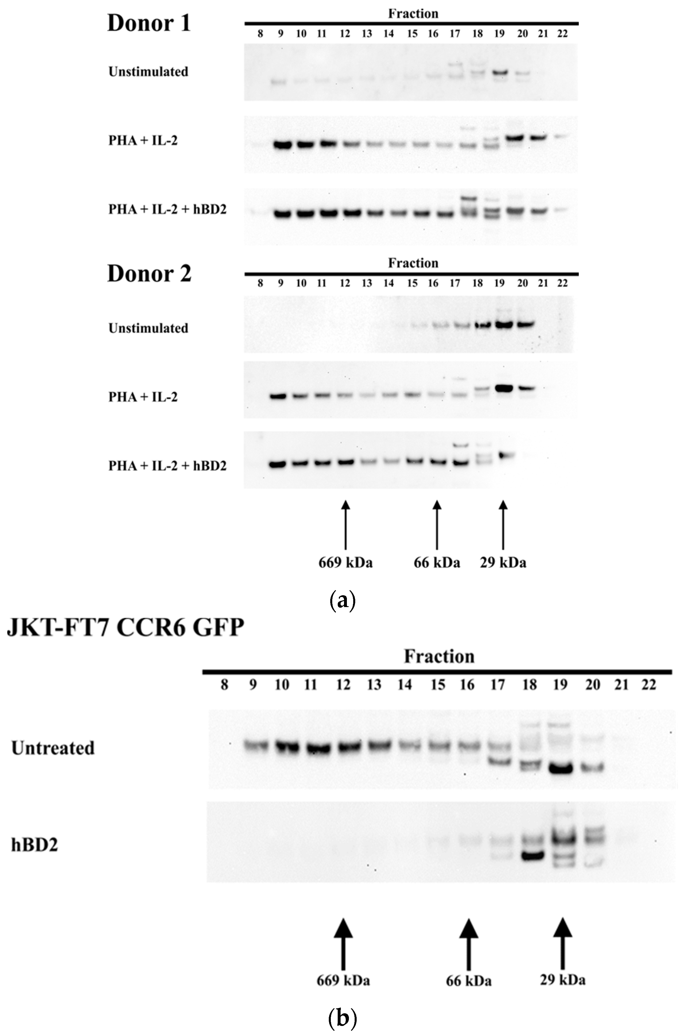 Viruses 09 00111 g002 550