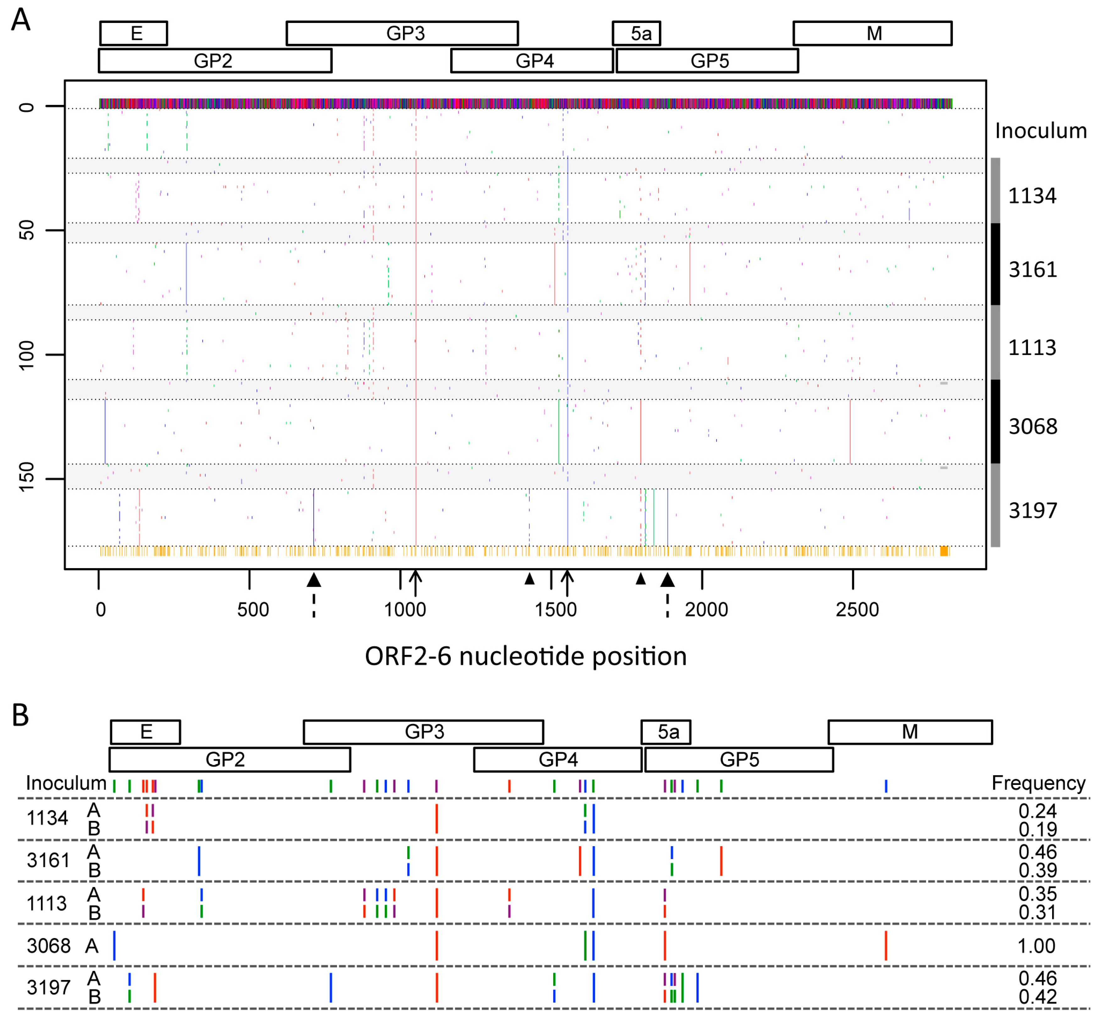 Viruses 09 00113 g002