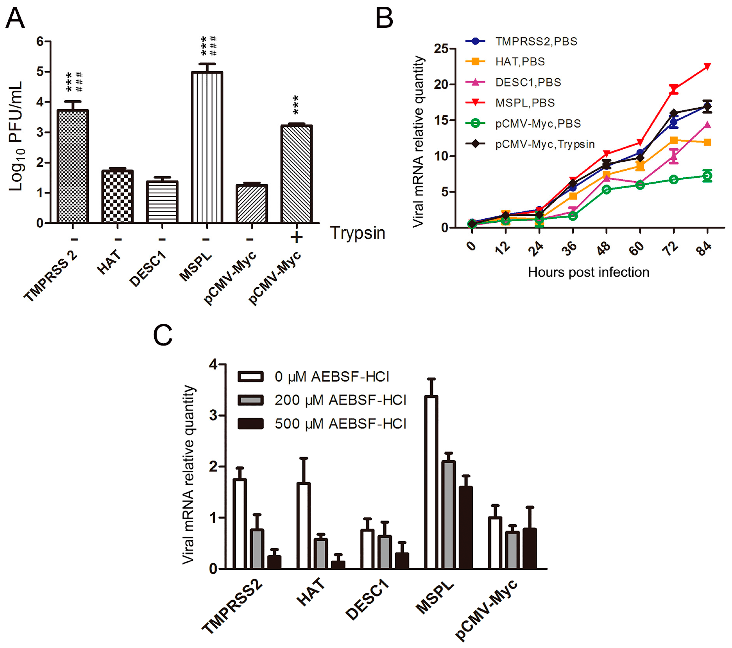 Viruses 09 00114 g002