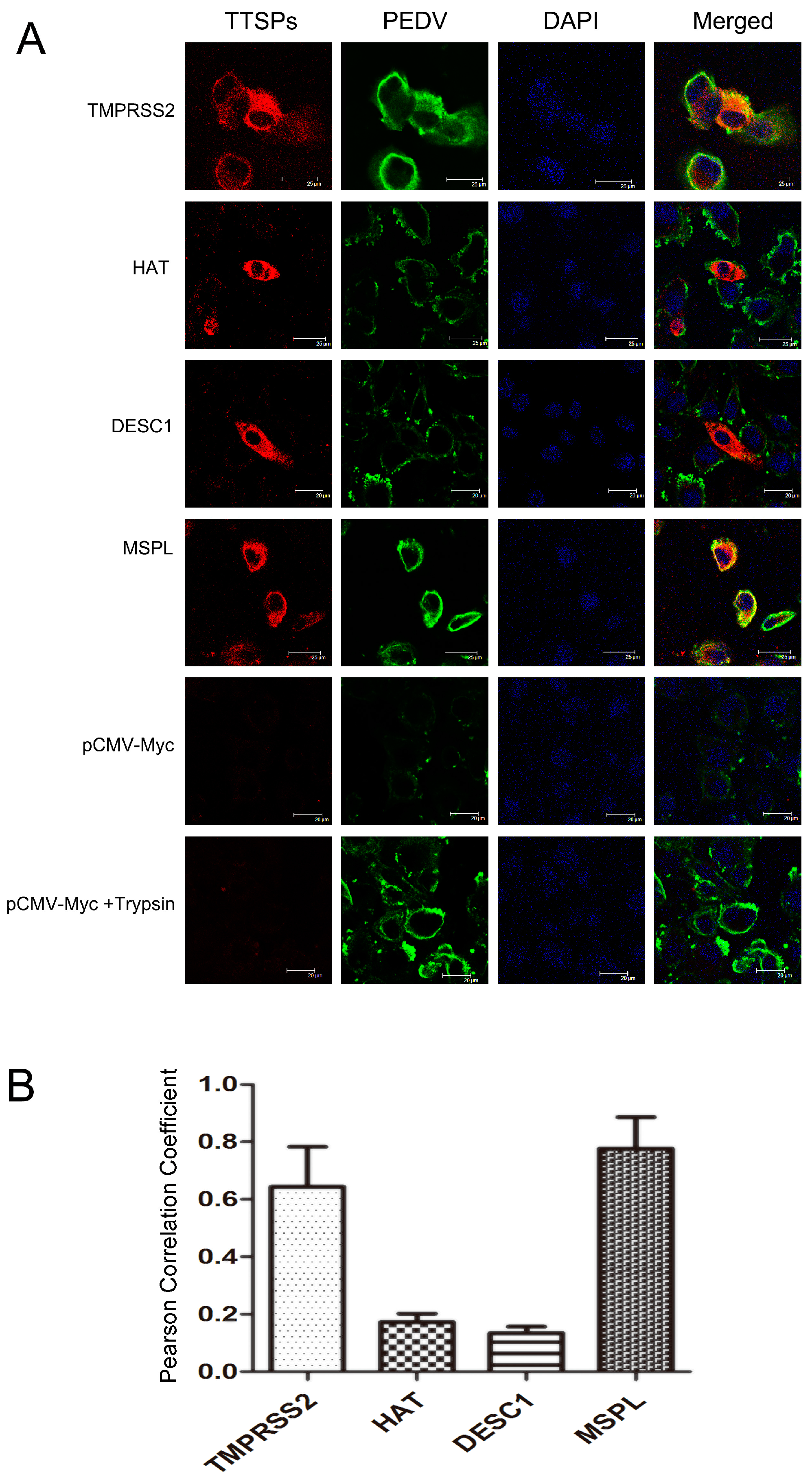 Viruses 09 00114 g004