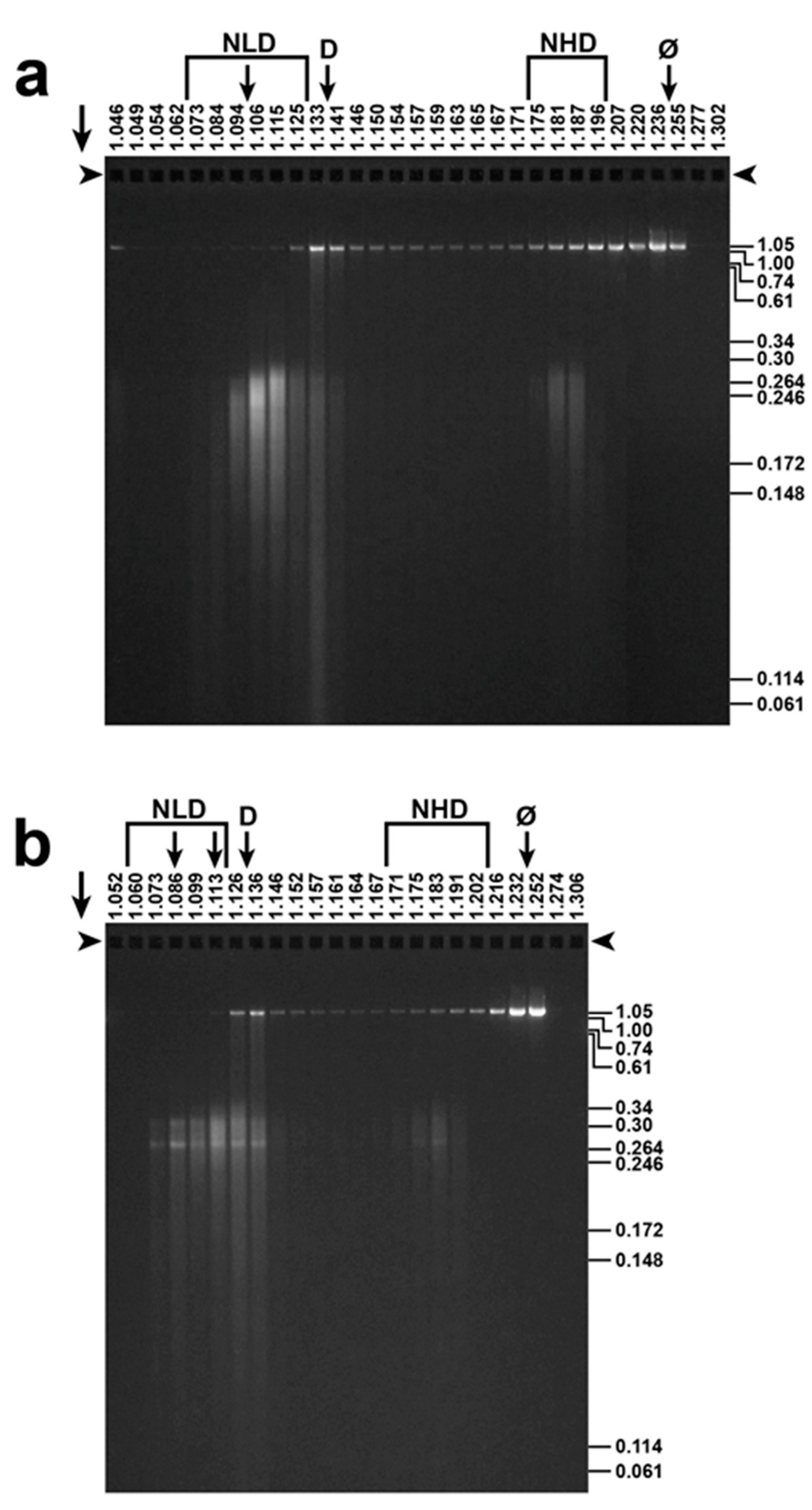 Viruses 09 00119 g004