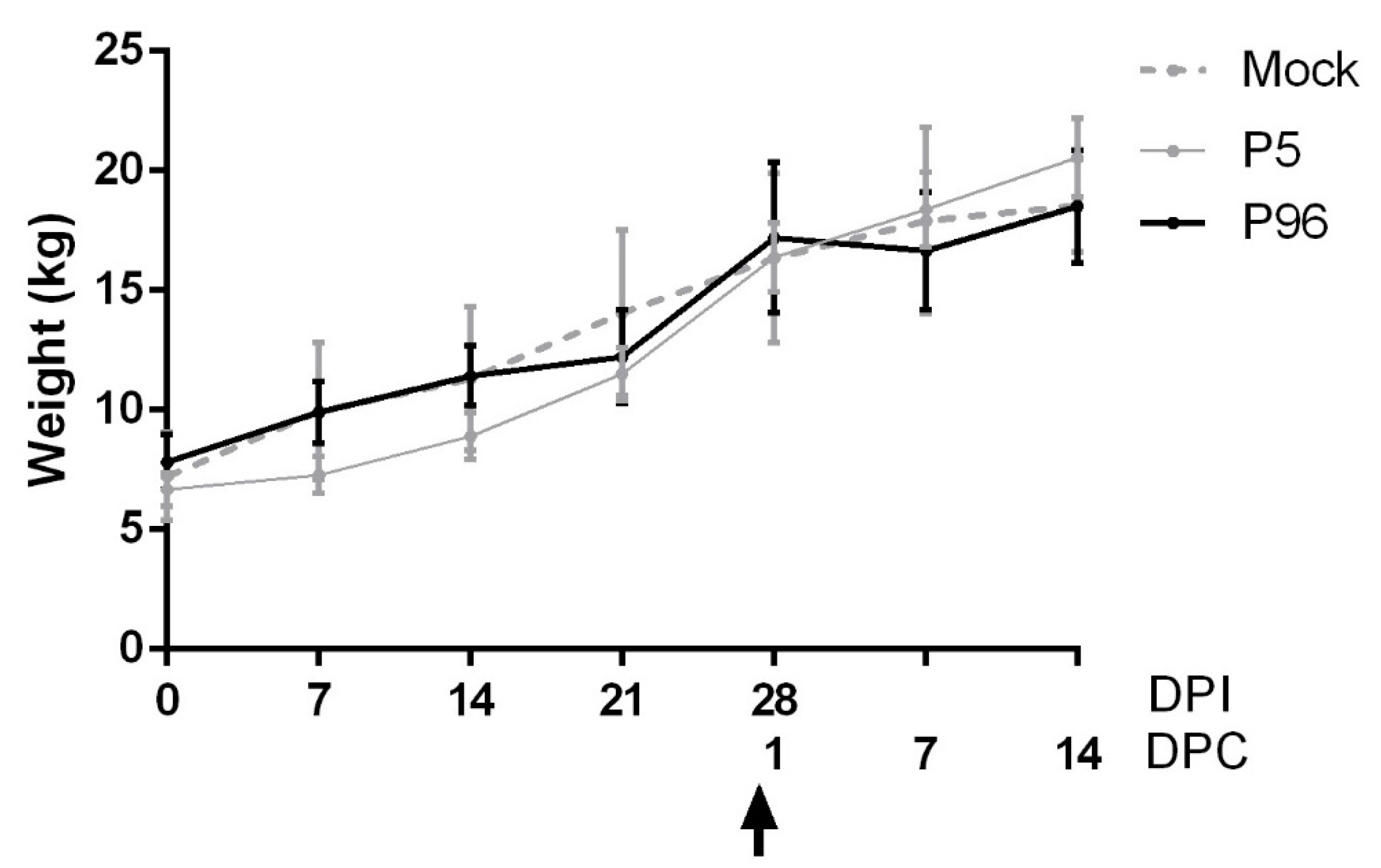 Viruses 09 00121 g002 550