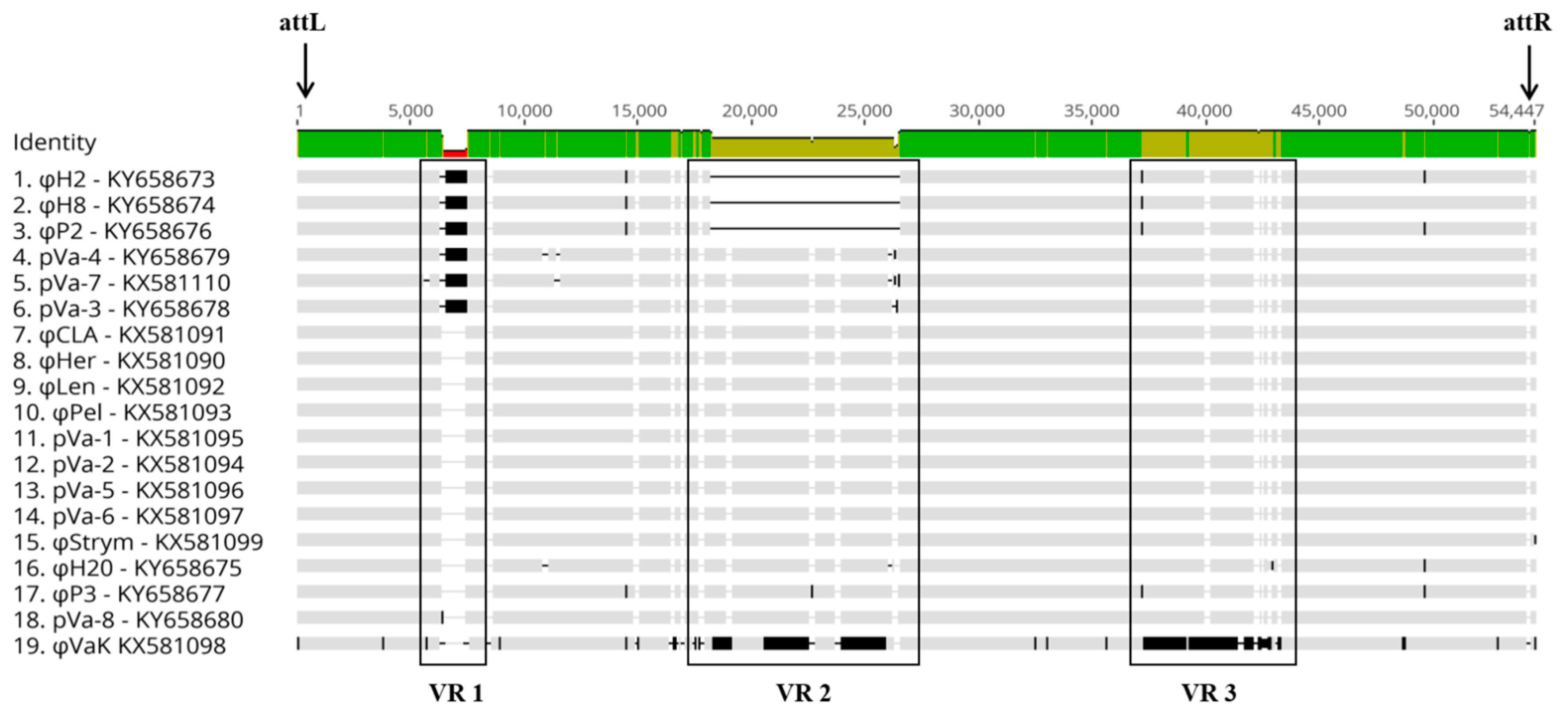 Viruses 09 00122 g003