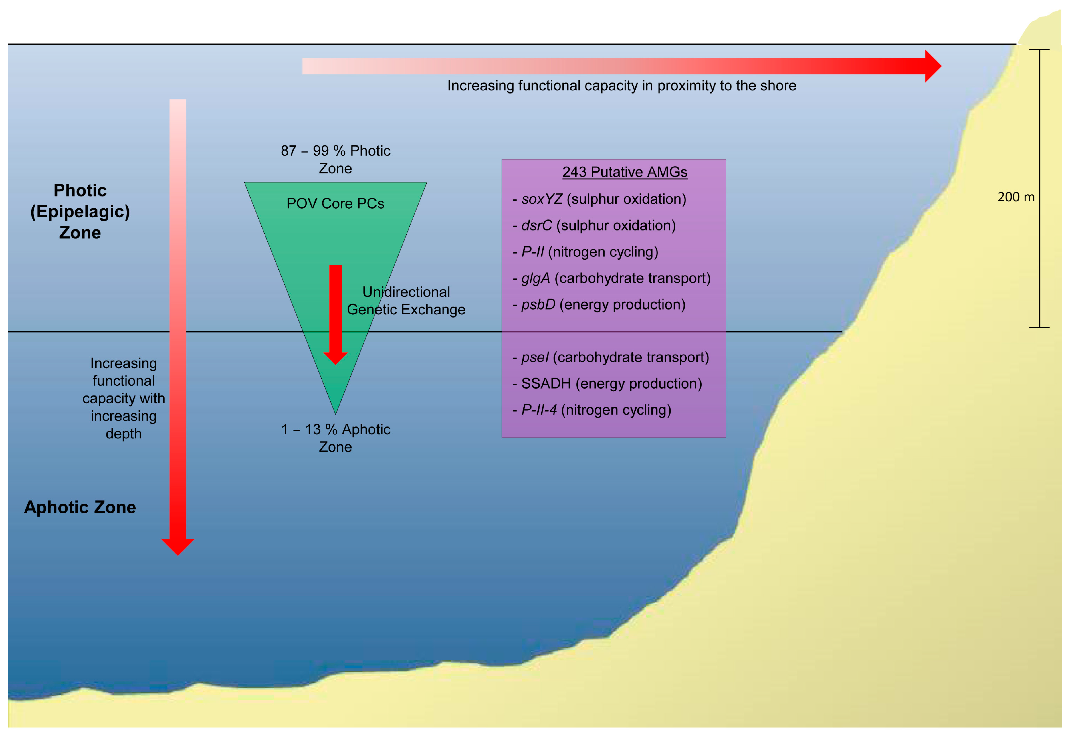 Viruses 09 00127 g003