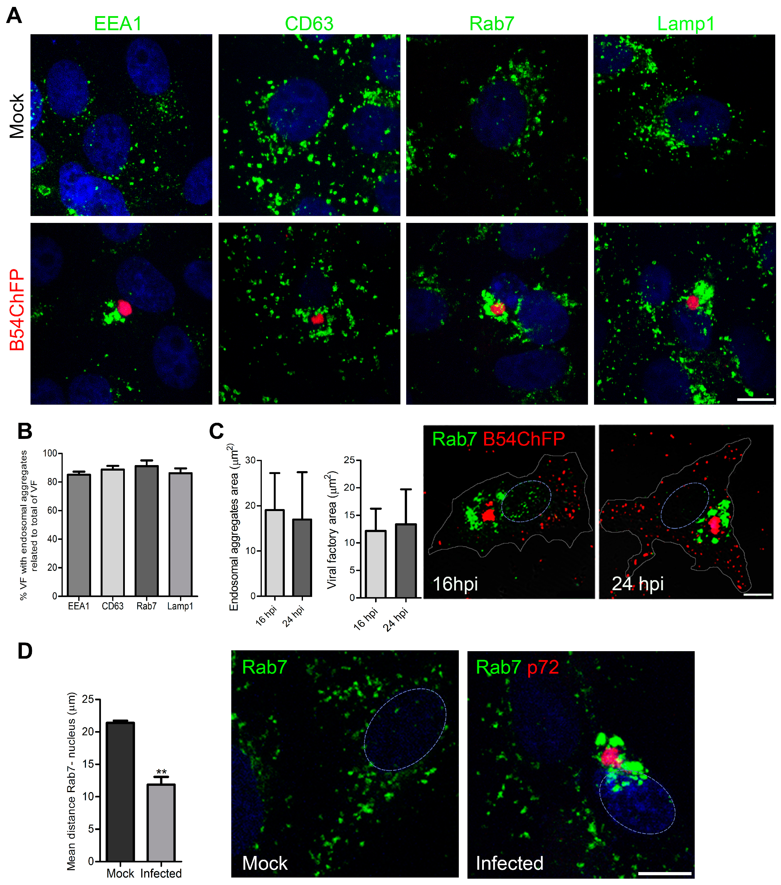Viruses 09 00133 g001