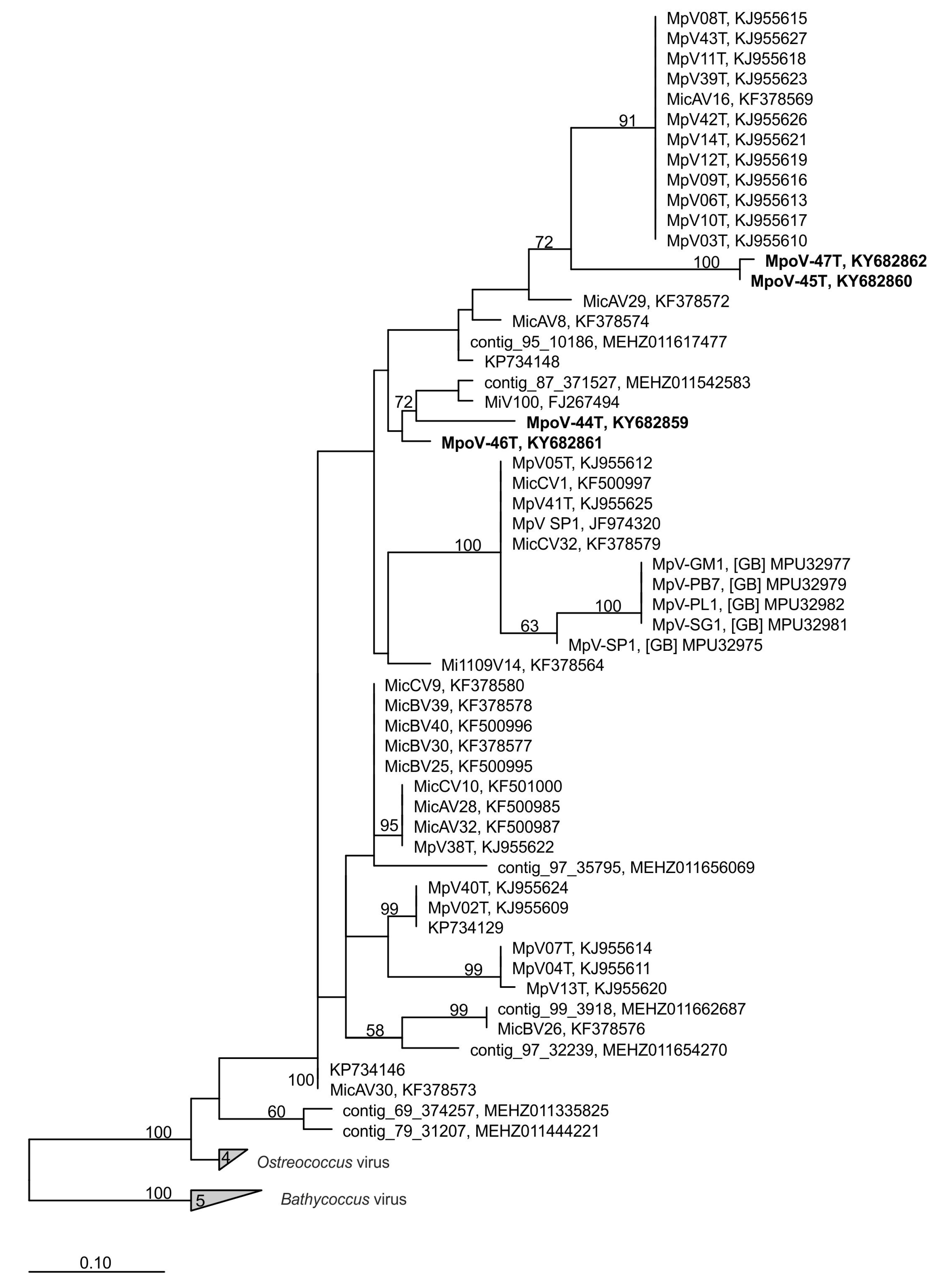 Viruses 09 00134 g002