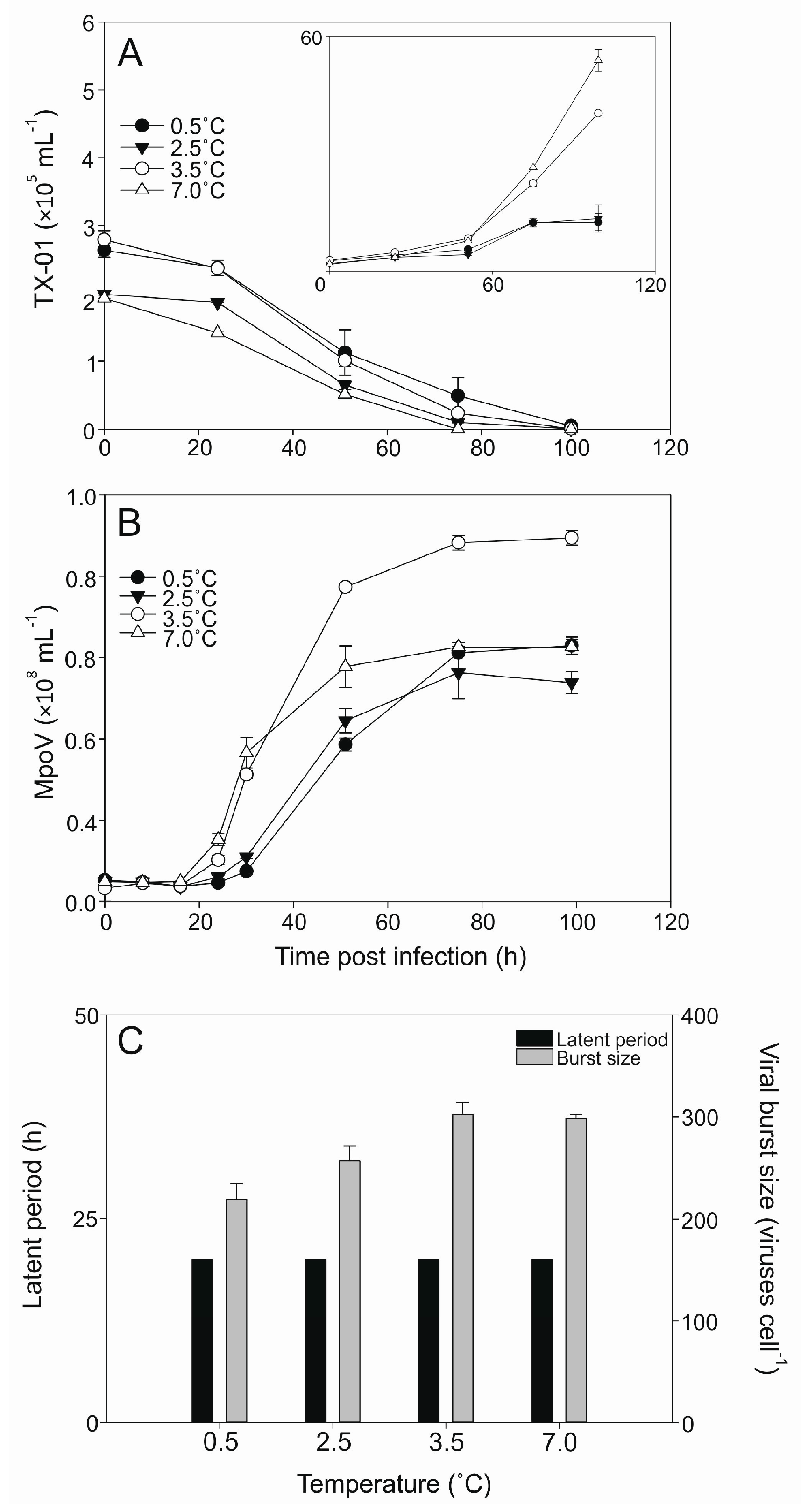 Viruses 09 00134 g005