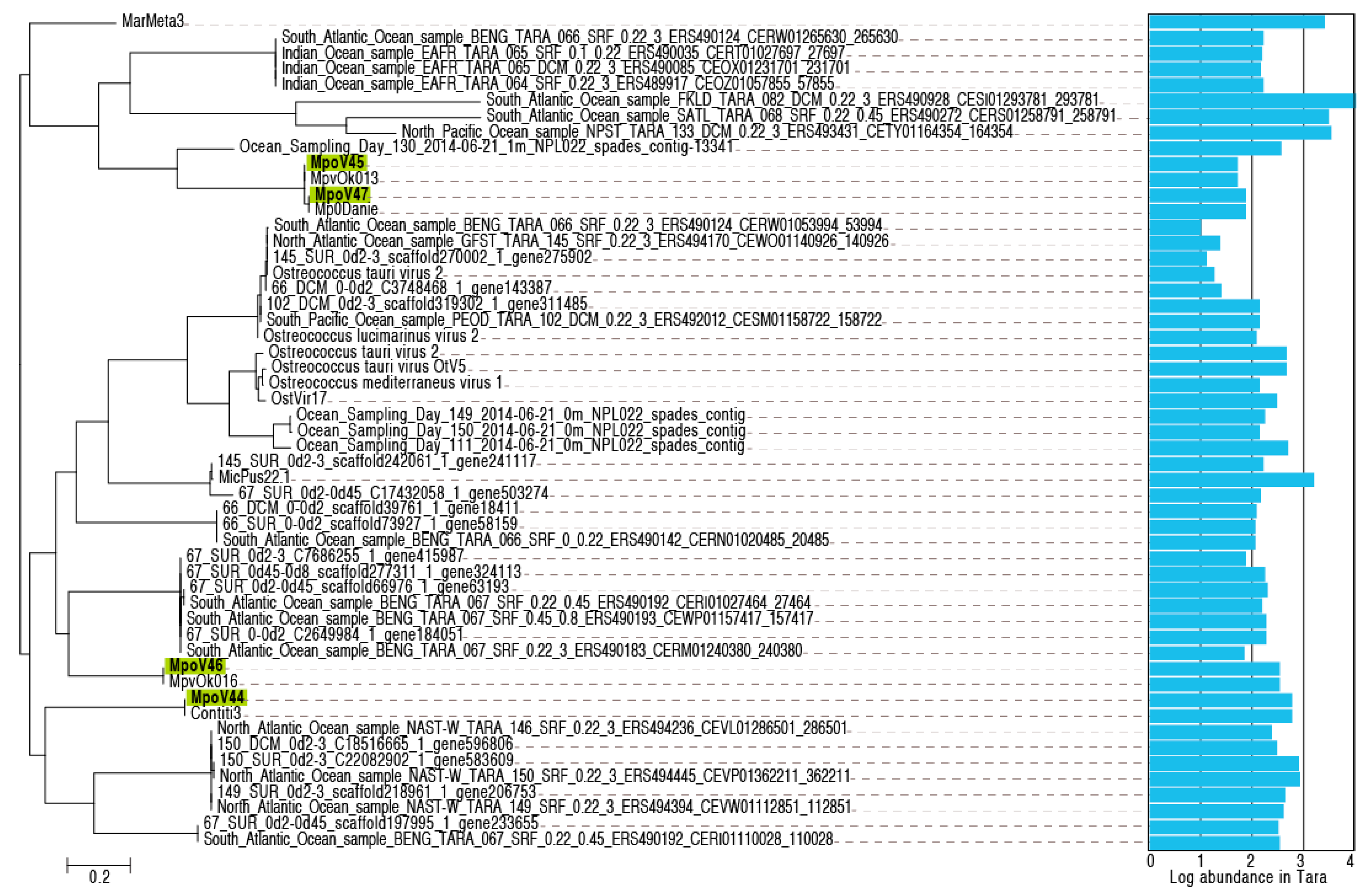 Viruses 09 00134 g007