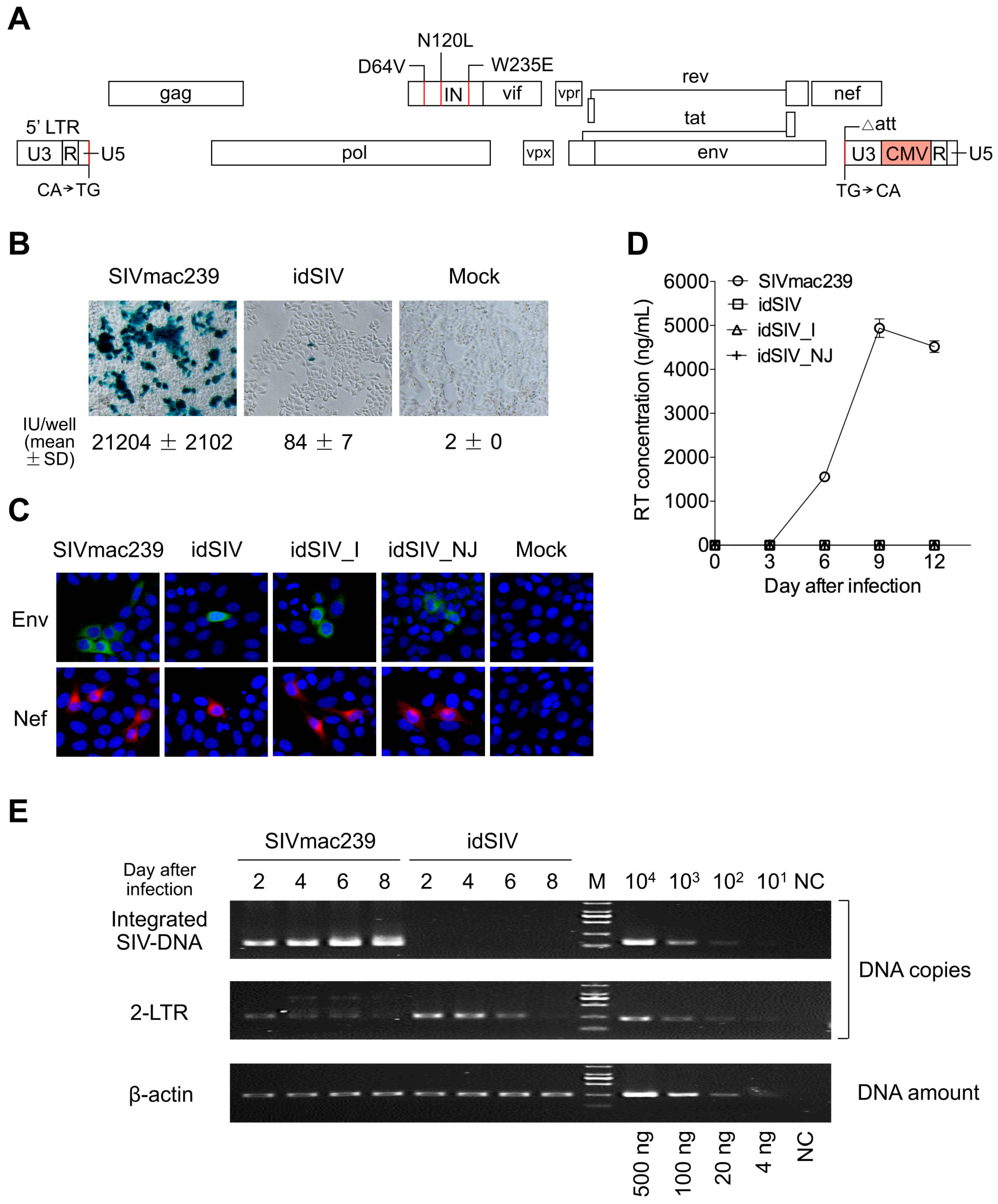 Viruses 09 00135 g001 550