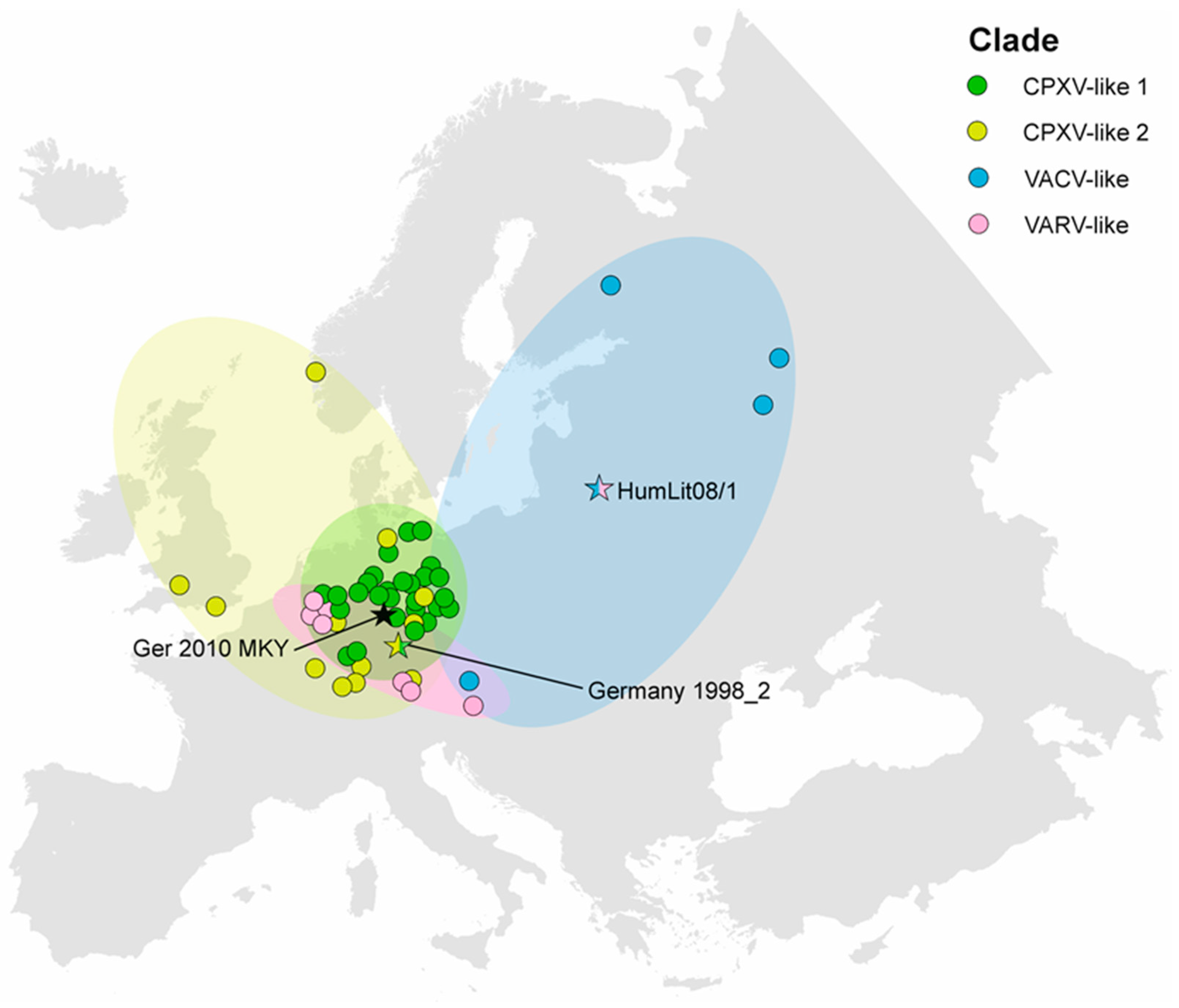 Viruses 09 00142 g005