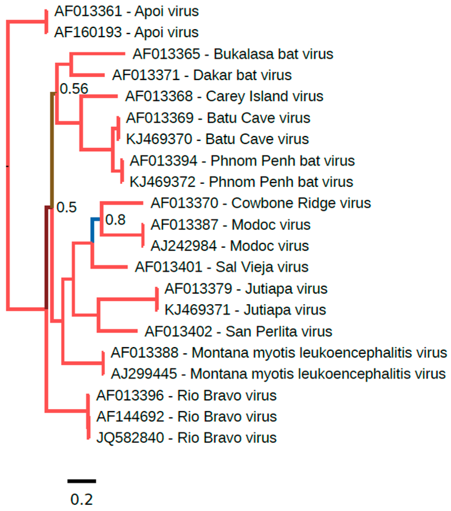 Viruses 09 00154 g002