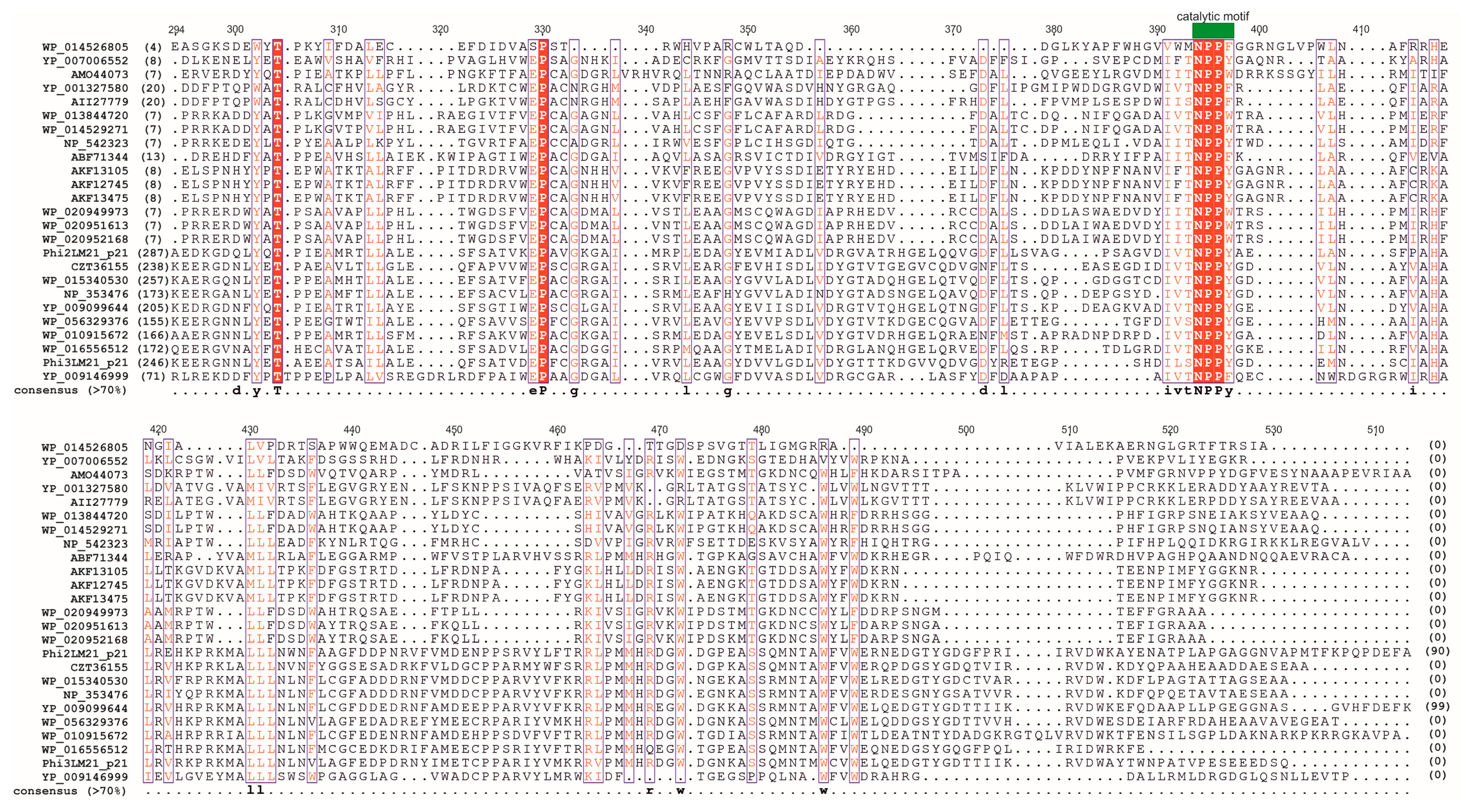 Viruses 09 00161 g003