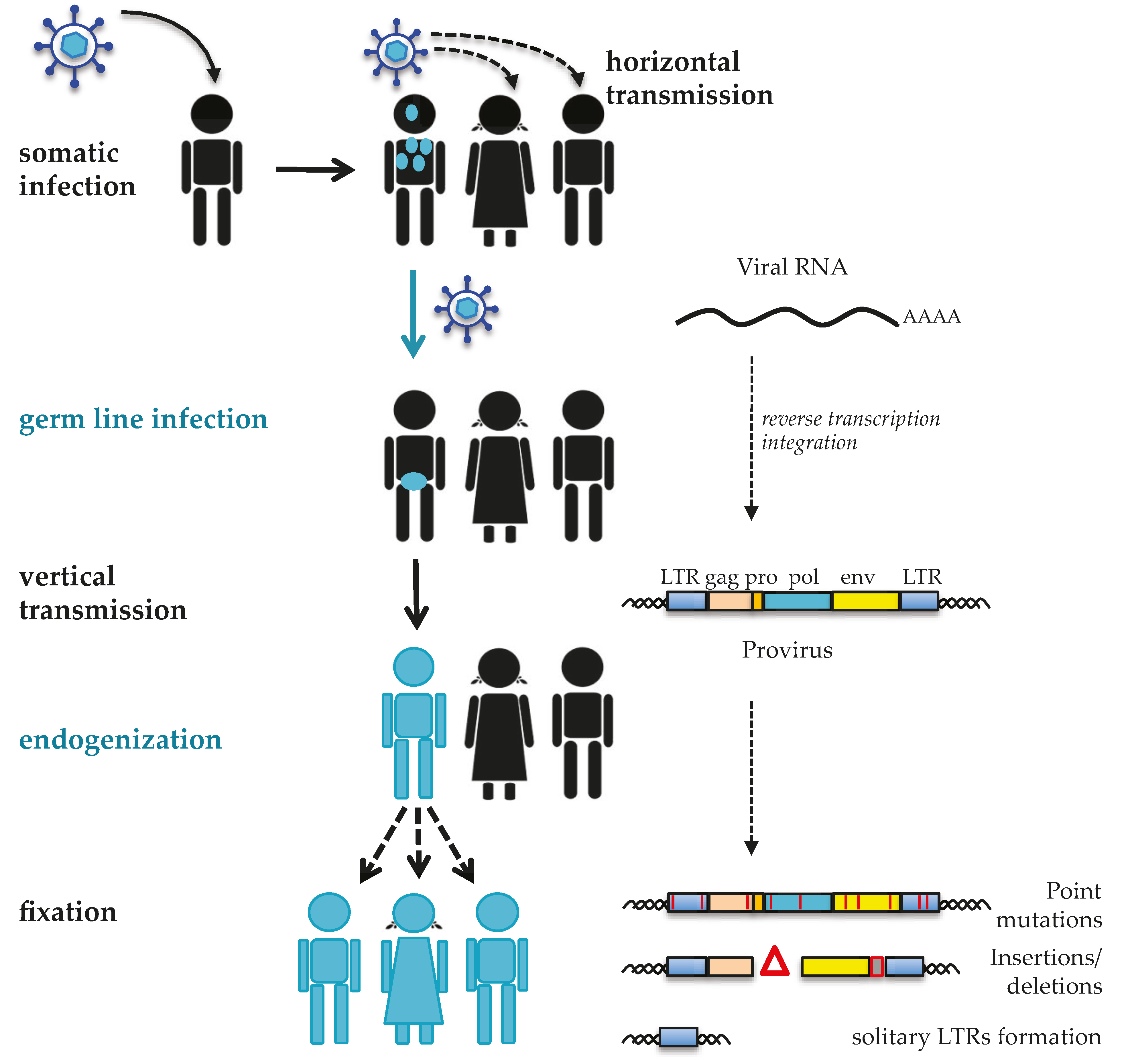 Viruses 09 00162 g001
