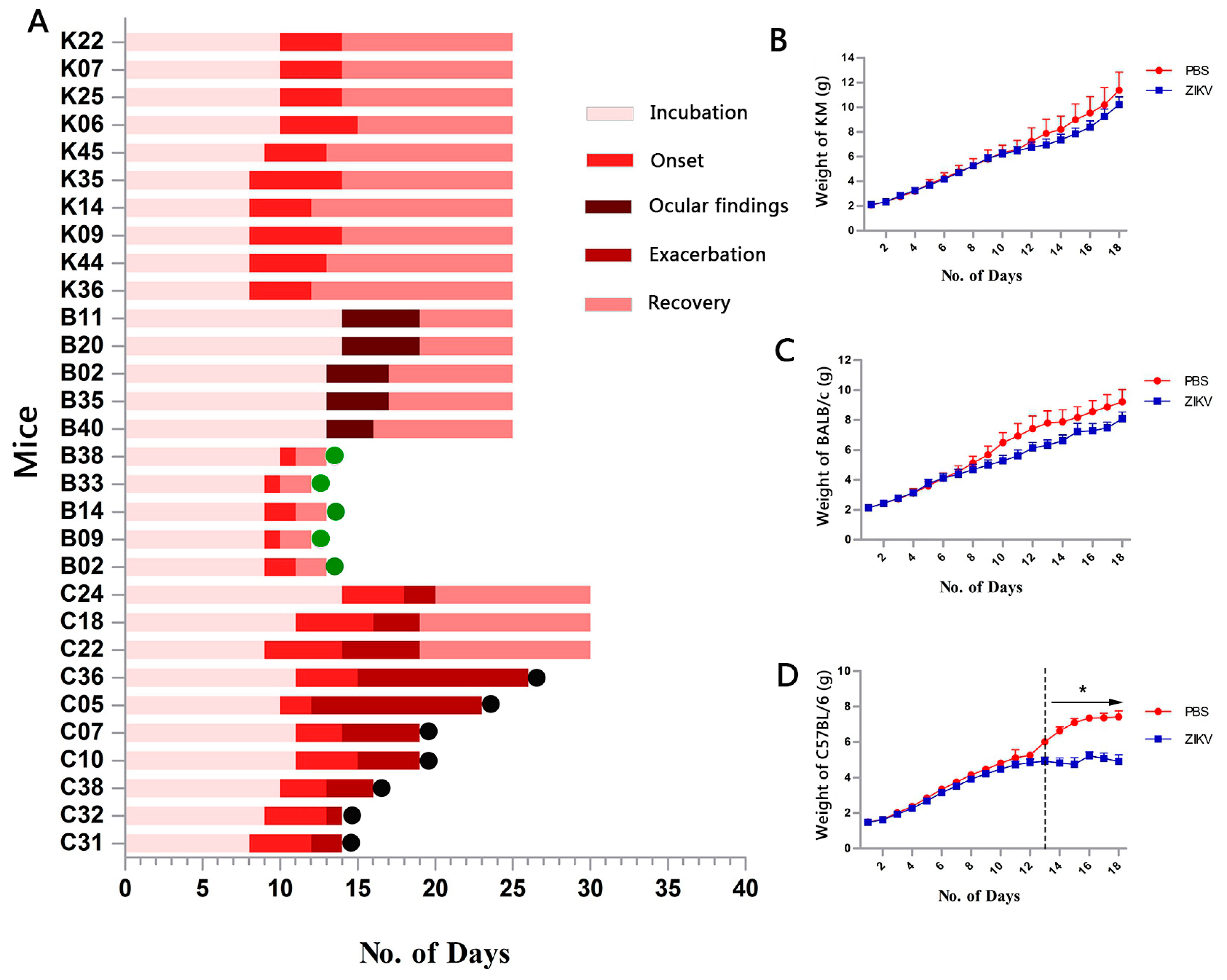 Viruses 09 00165 g001 550
