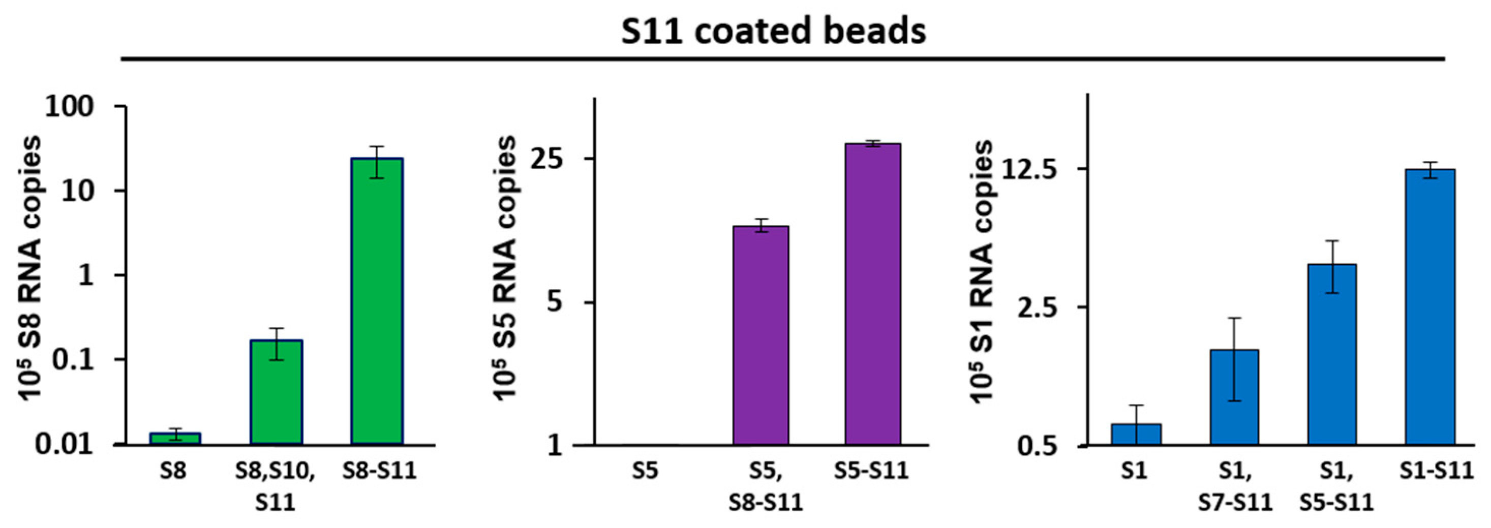 Viruses 09 00167 g002 550