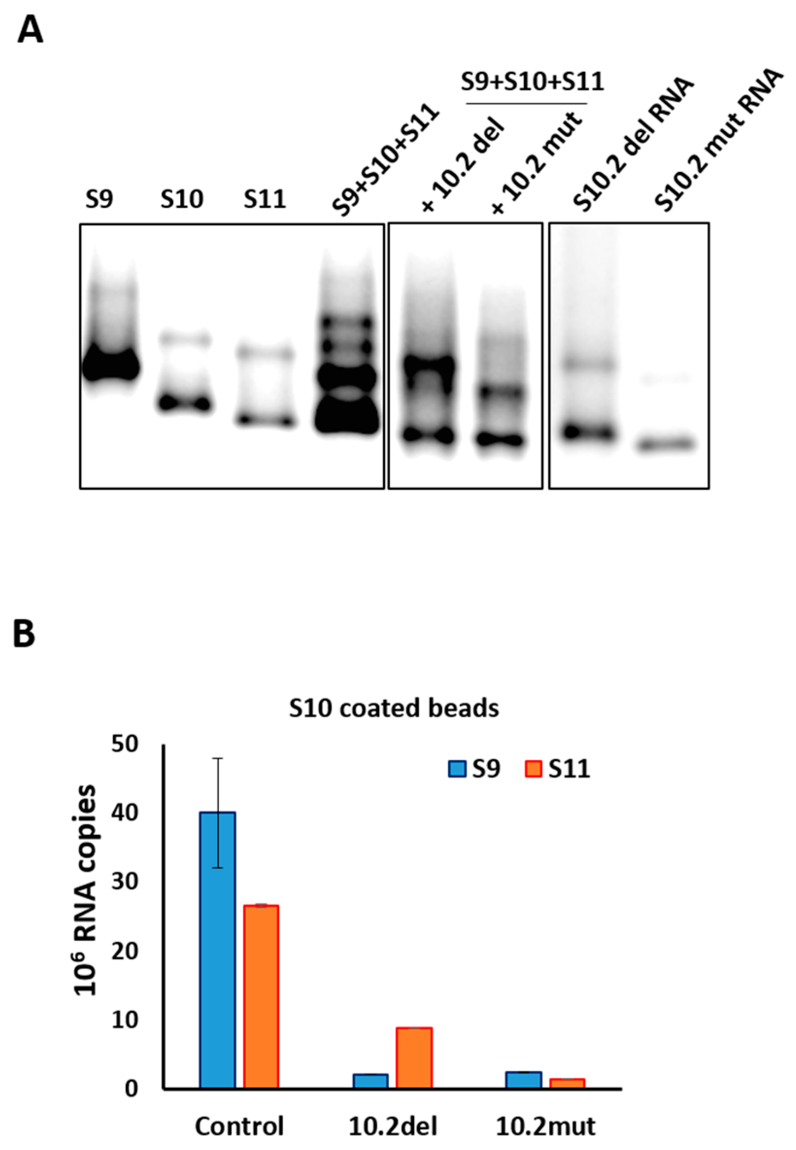 Viruses 09 00167 g005 550