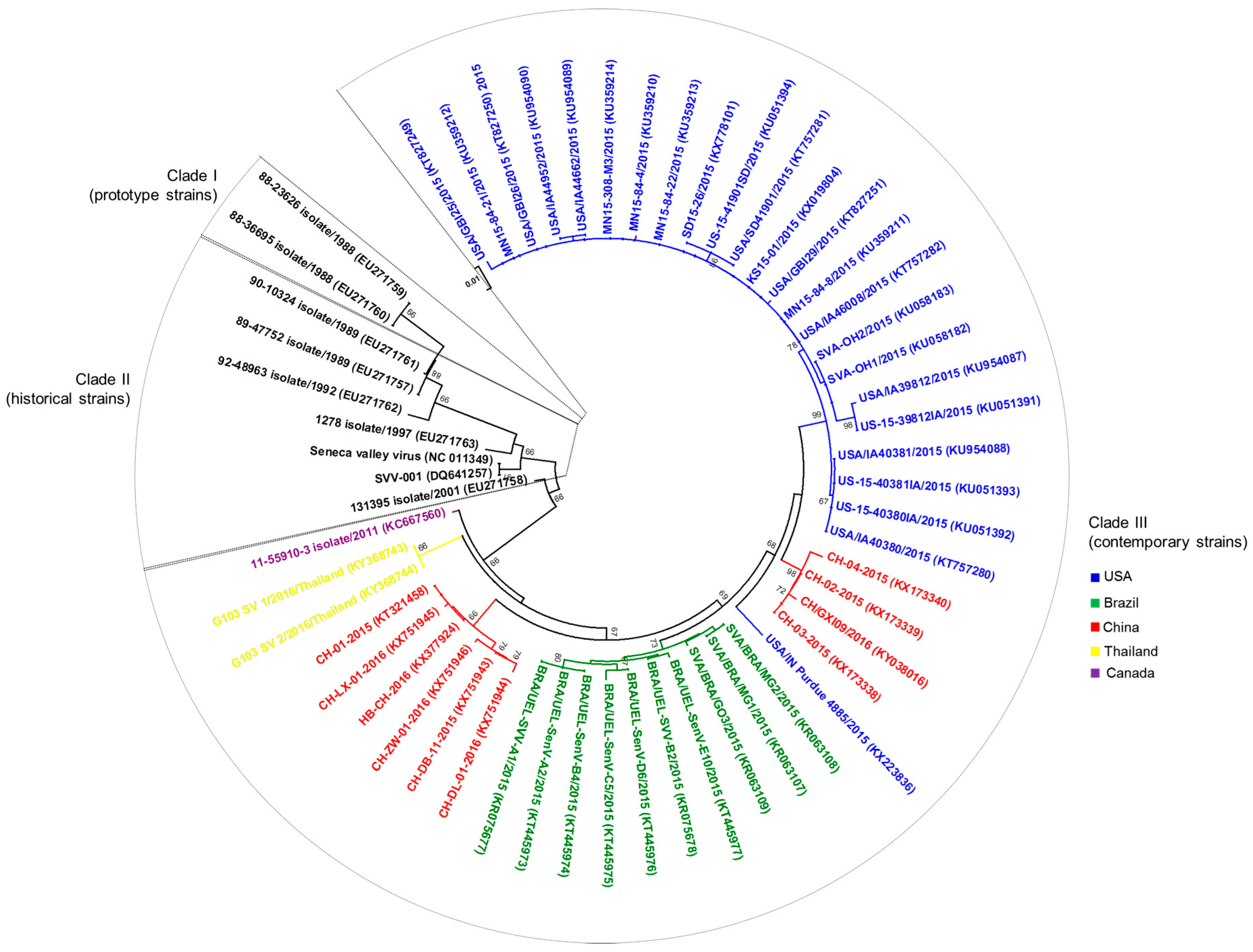 Viruses 09 00170 g003