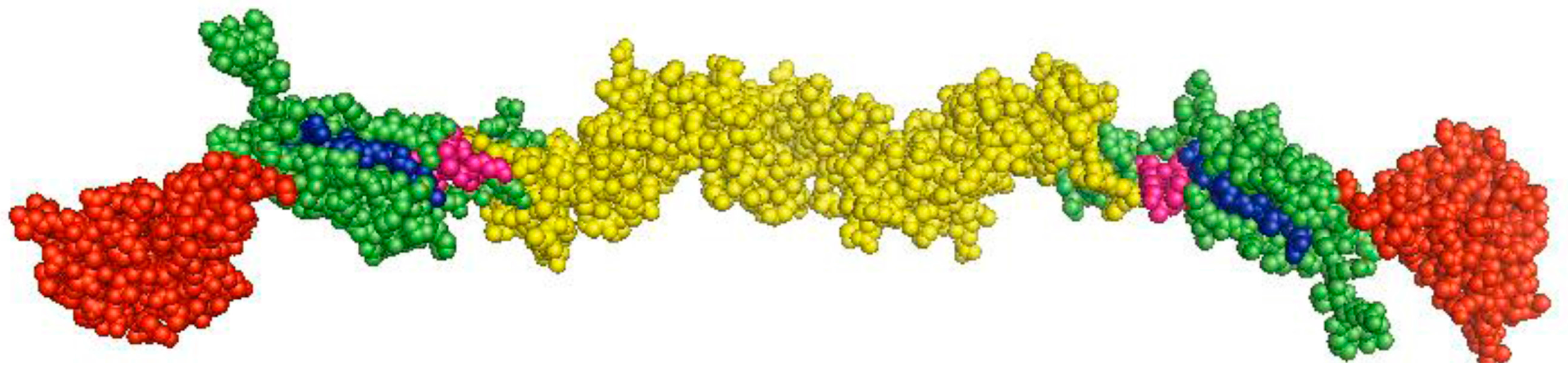 Viruses 09 00171 g002 550