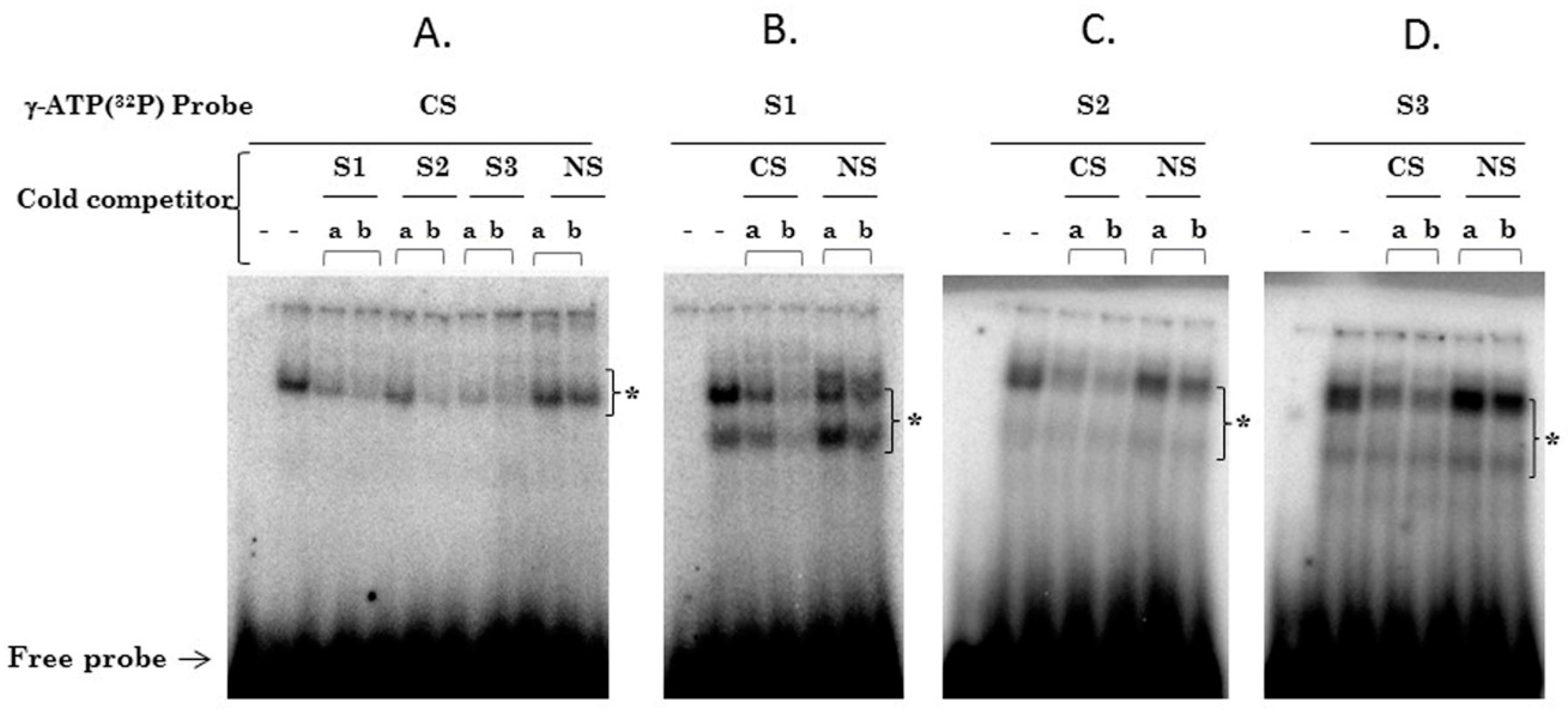 Viruses 09 00175 g003a