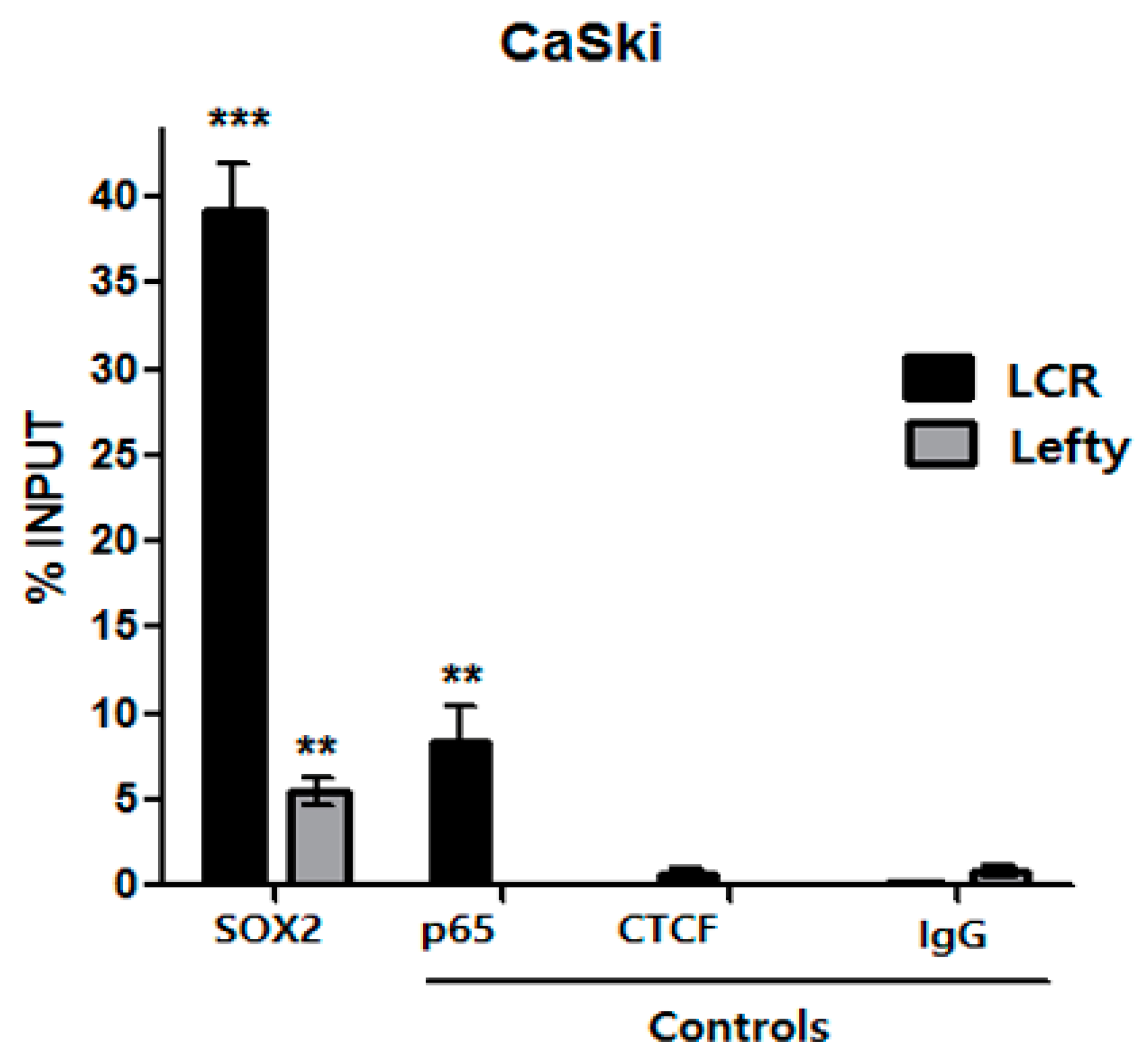 Viruses 09 00175 g004
