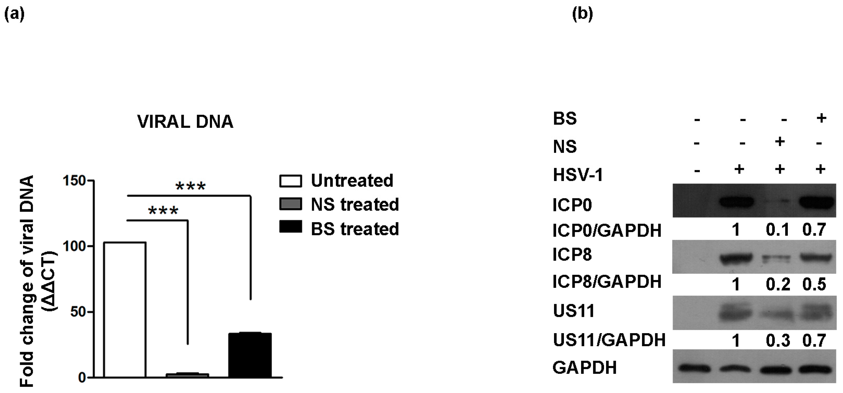 Viruses 09 00178 g004