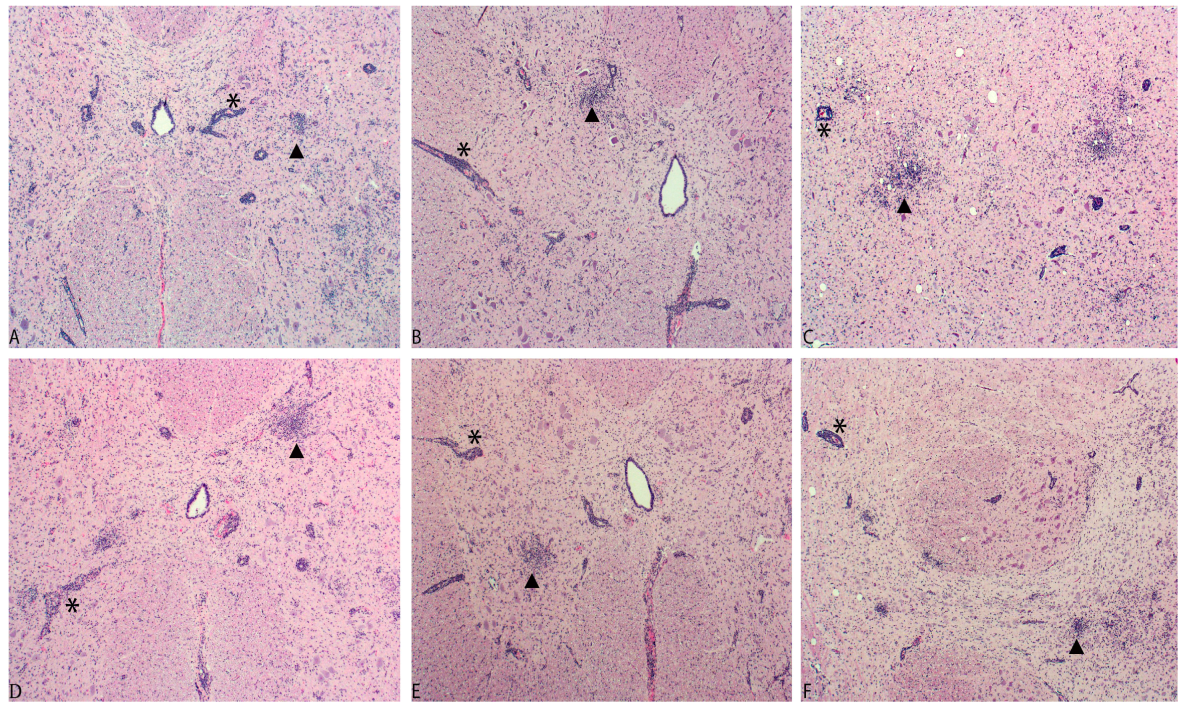 Viruses 09 00179 g002