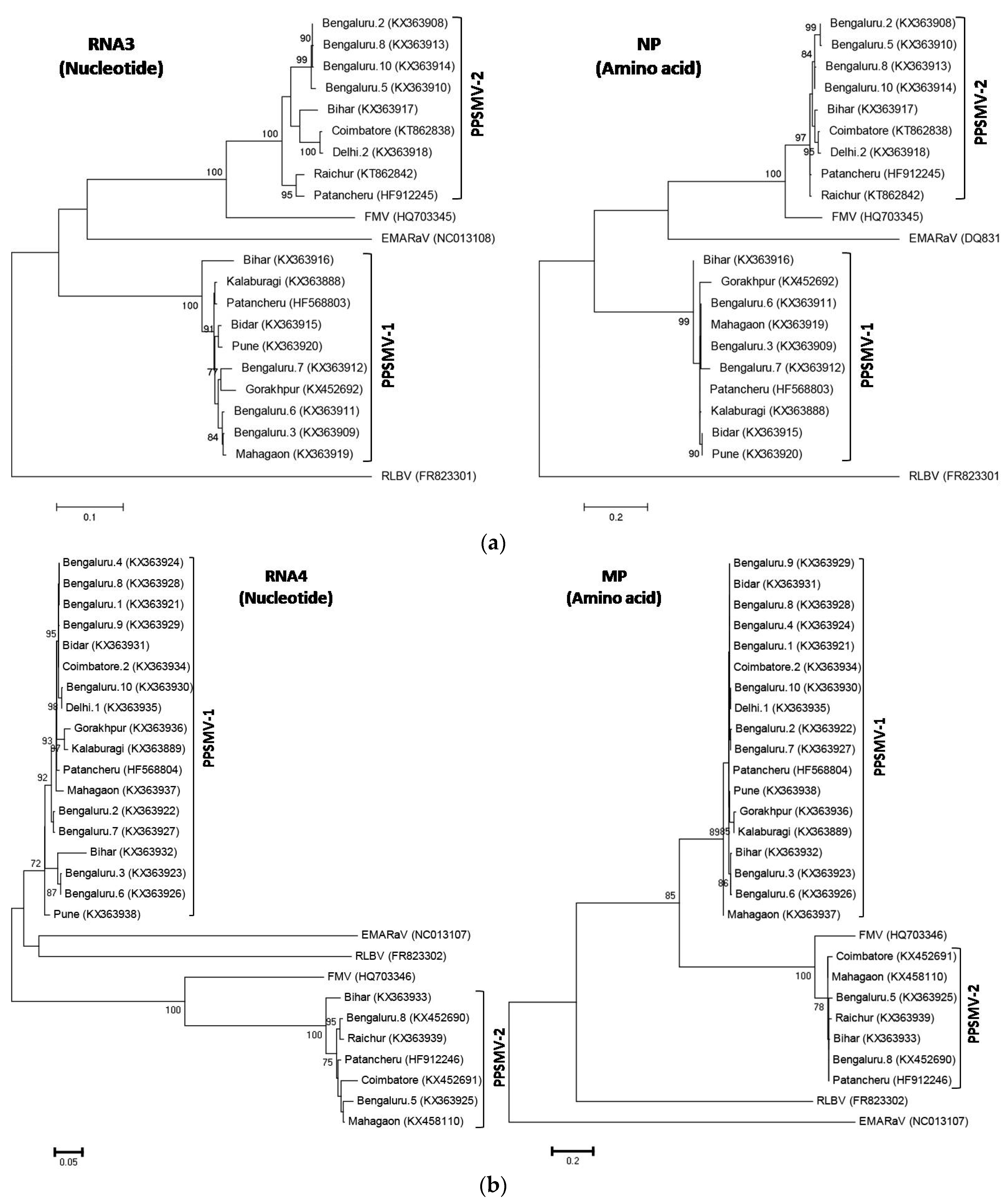 Viruses 09 00183 g002 550