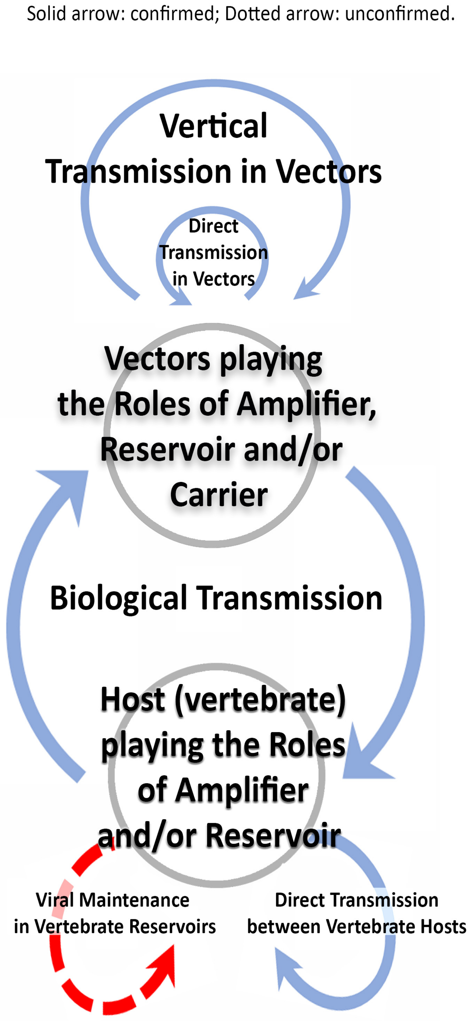 Viruses Free Full Text Vertebrate Reservoirs Of Arboviruses