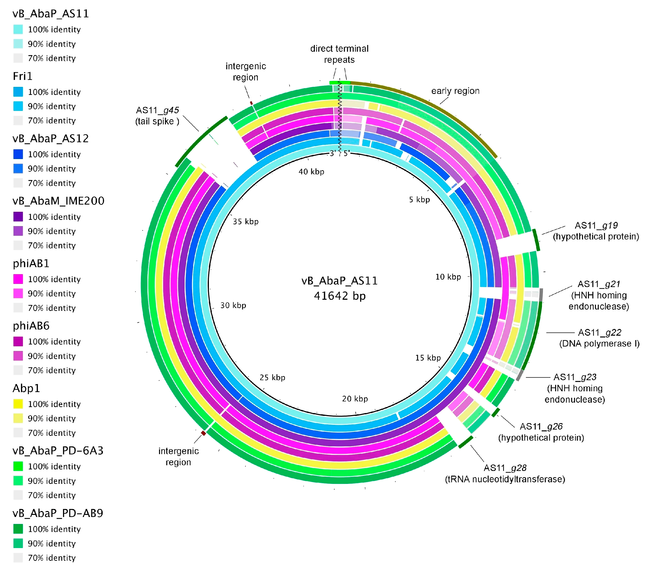 Viruses 09 00188 g004
