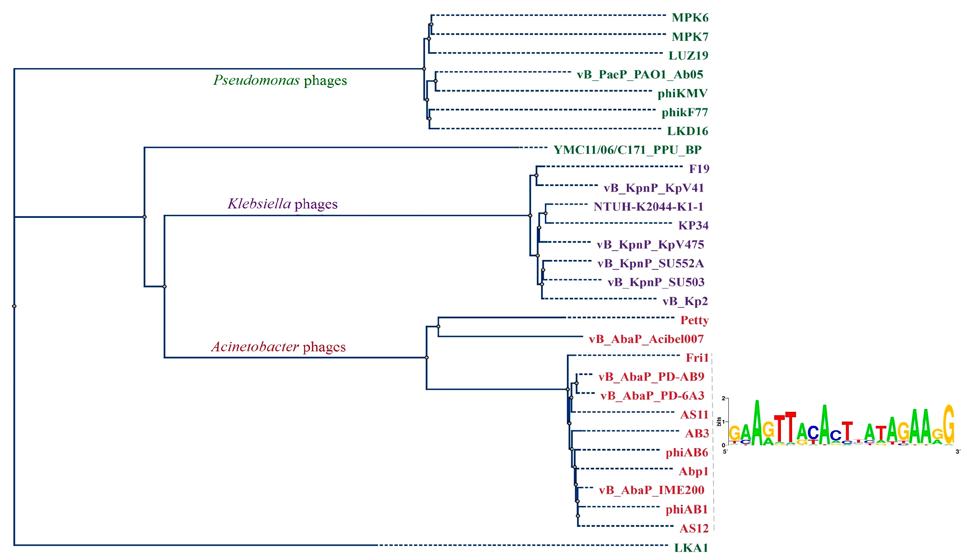 Viruses 09 00188 g005