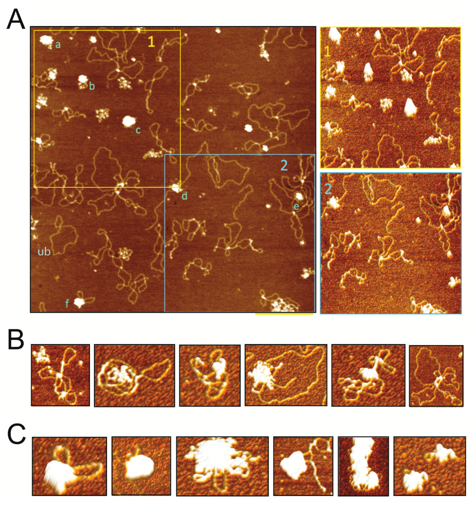 Viruses 09 00190 g002