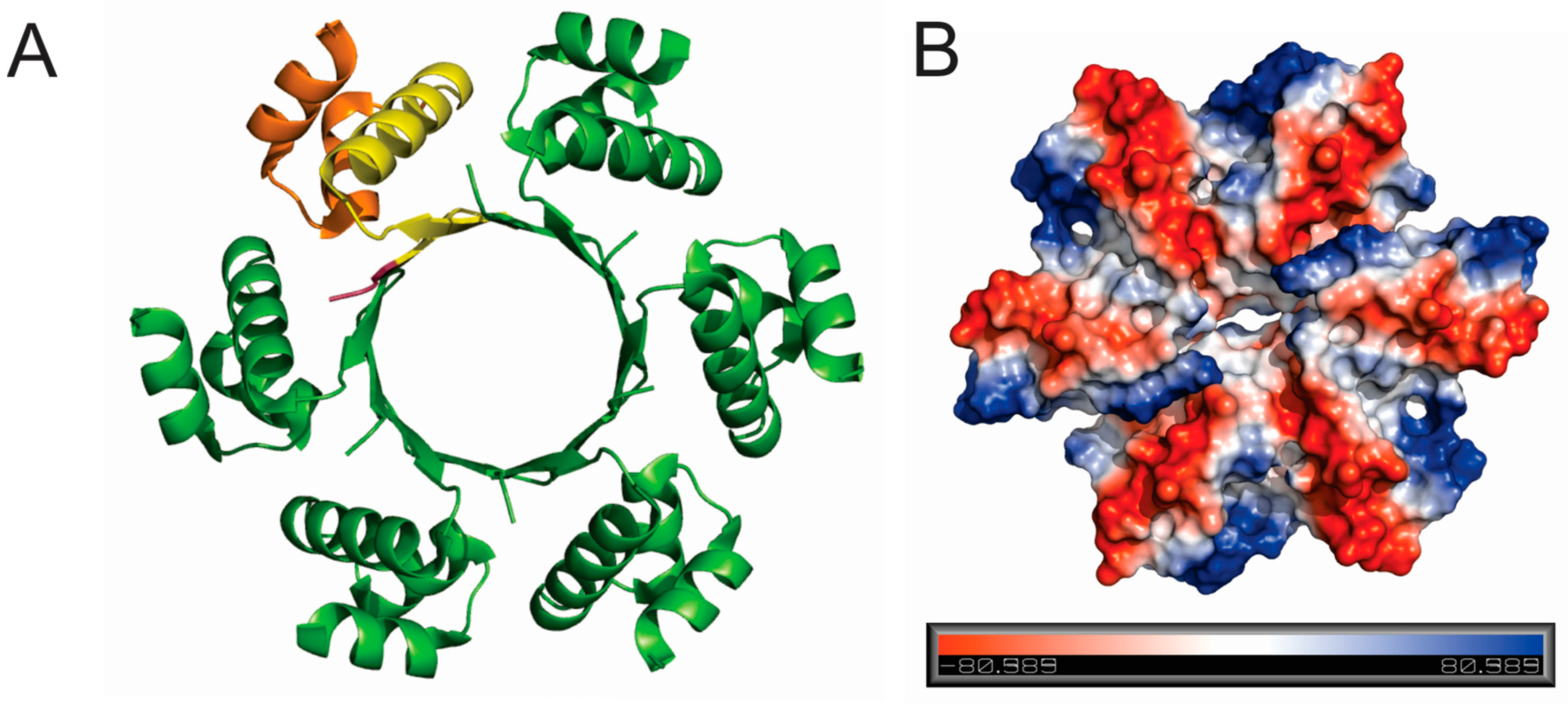 Viruses 09 00190 g005