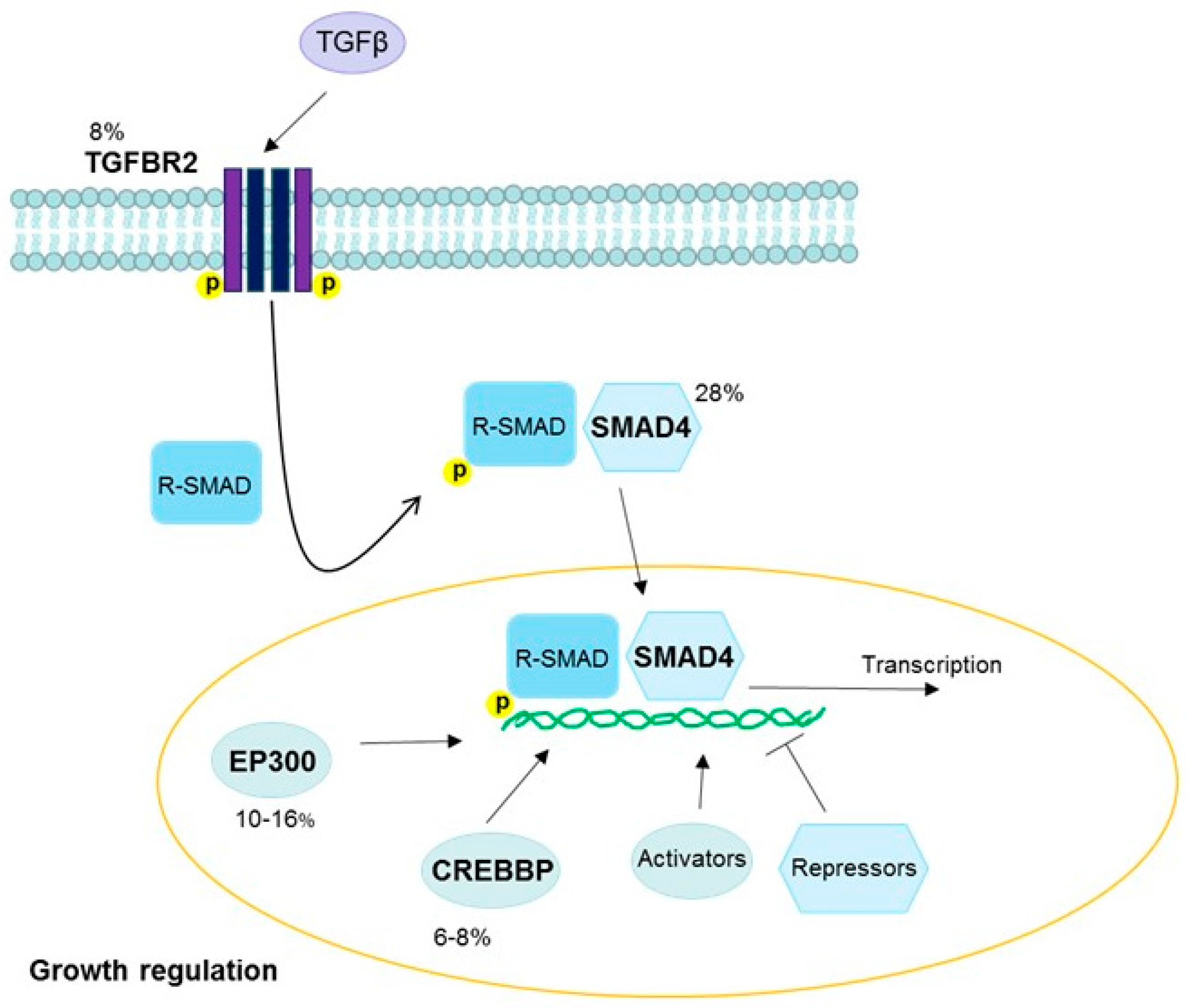 Viruses 09 00206 g006