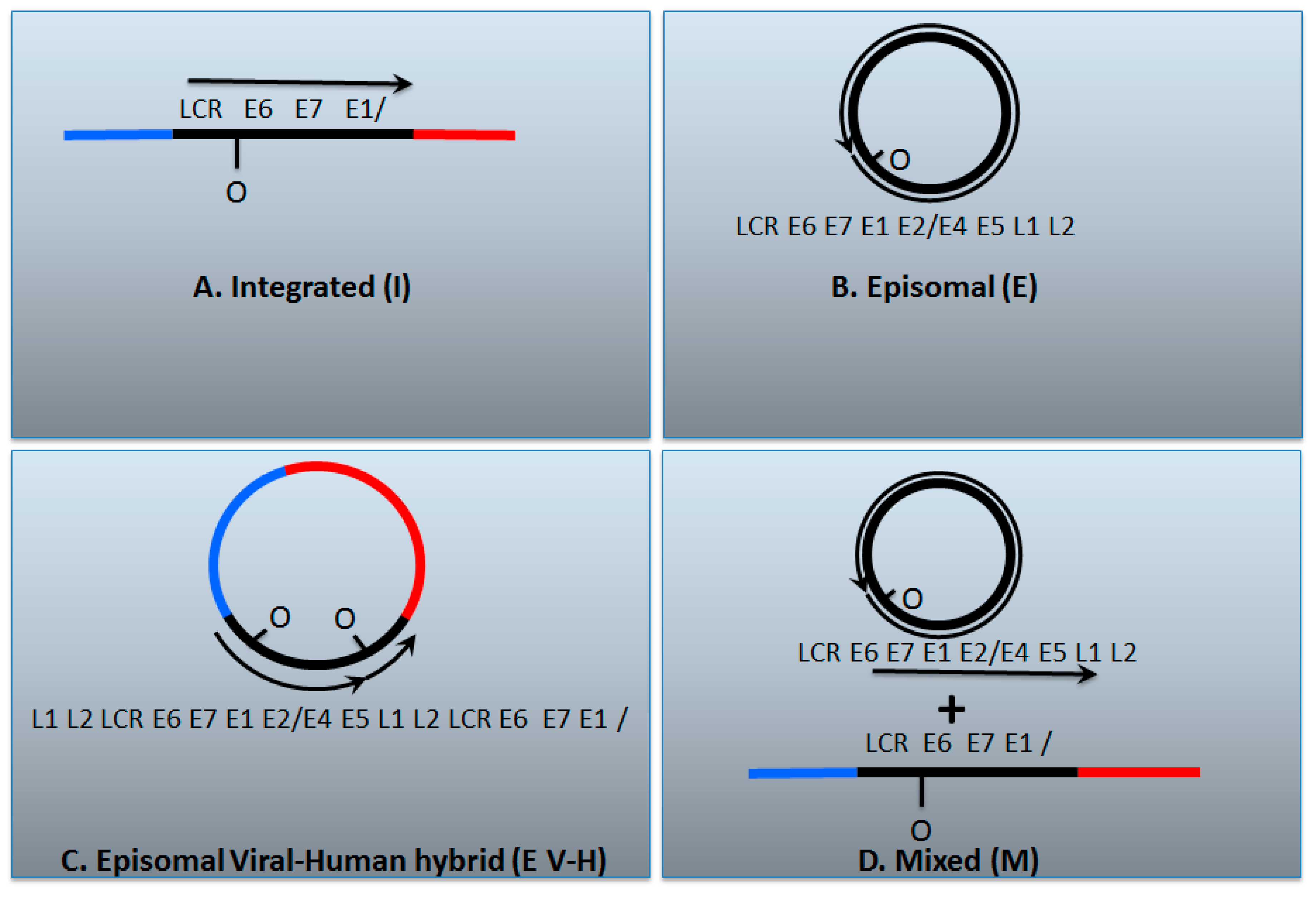 Viruses 09 00208 g002