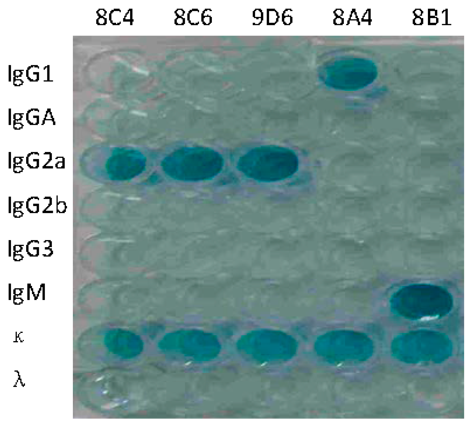 Viruses 09 00209 g002 550