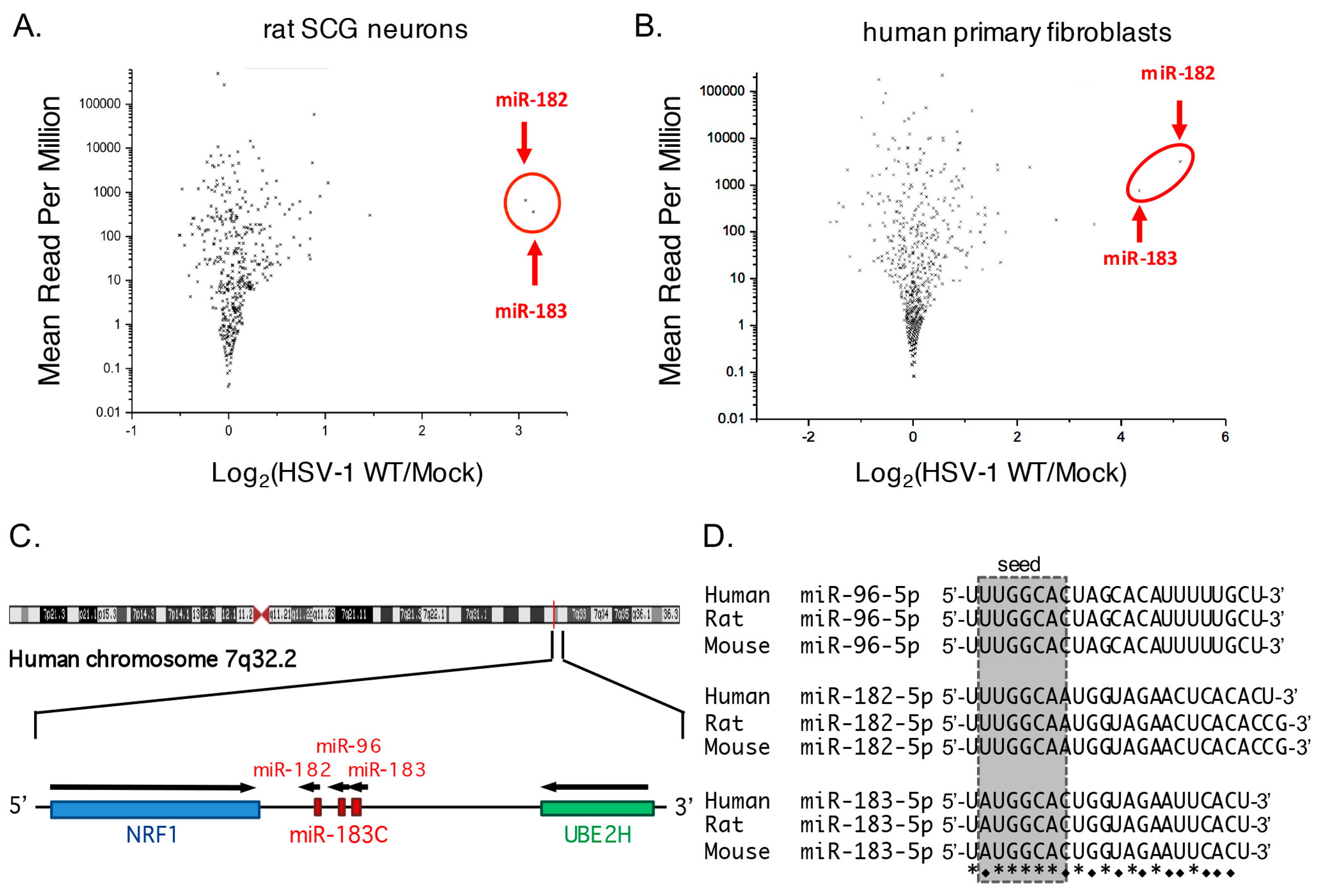Viruses 09 00210 g001 Viruses 09 00210 g001