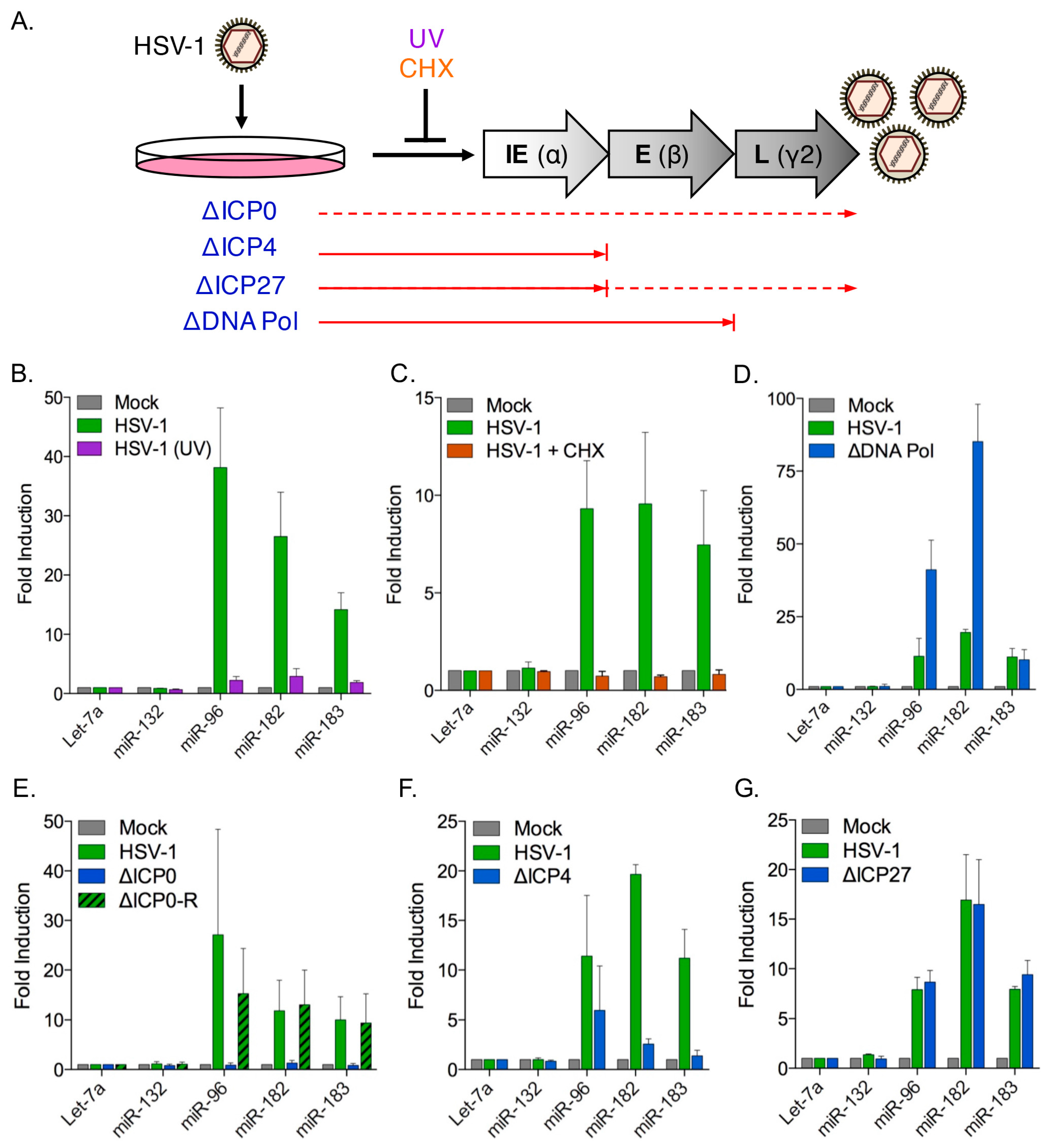 Viruses 09 00210 g004 Viruses 09 00210 g004