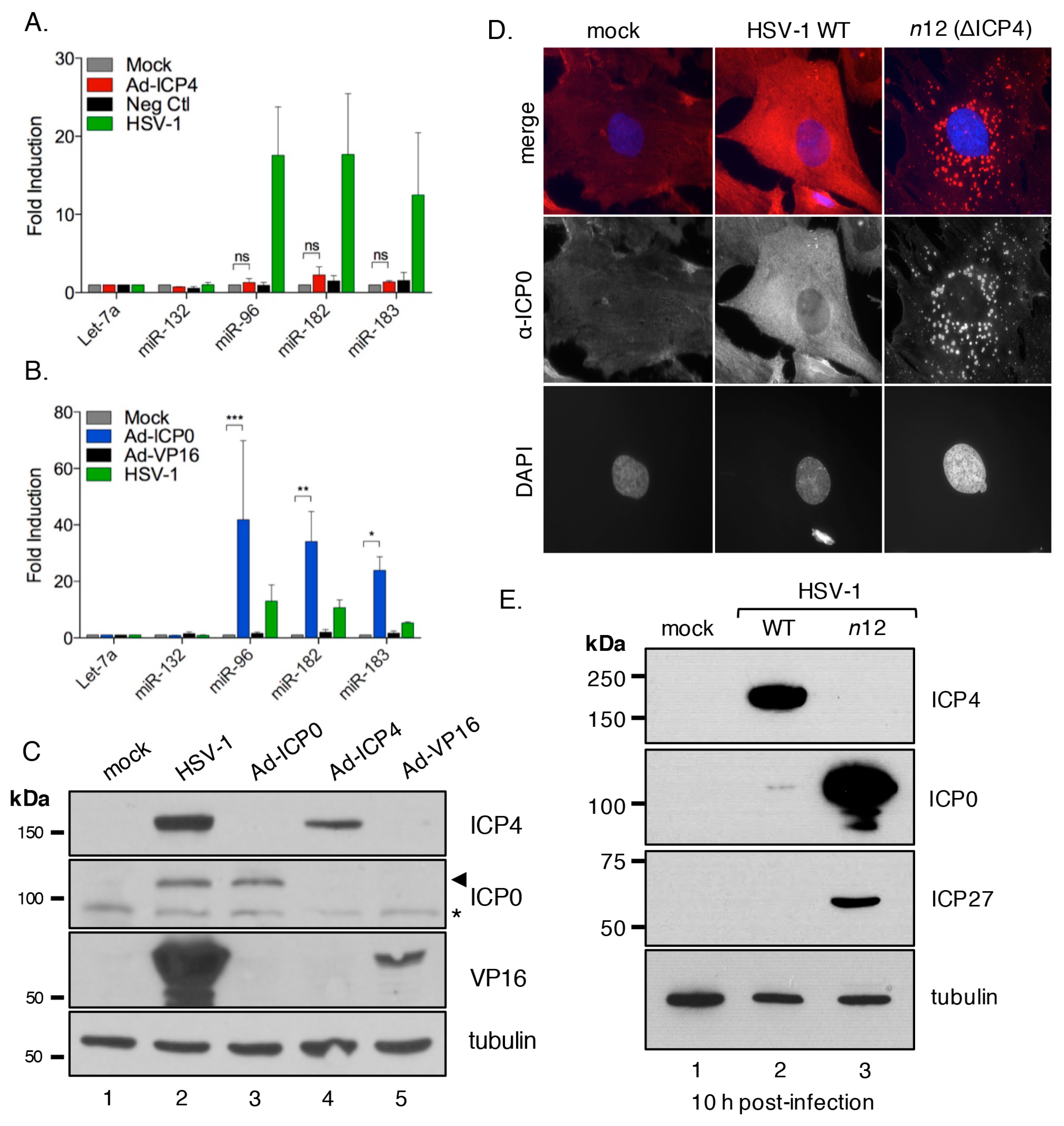 Viruses 09 00210 g005 Viruses 09 00210 g005