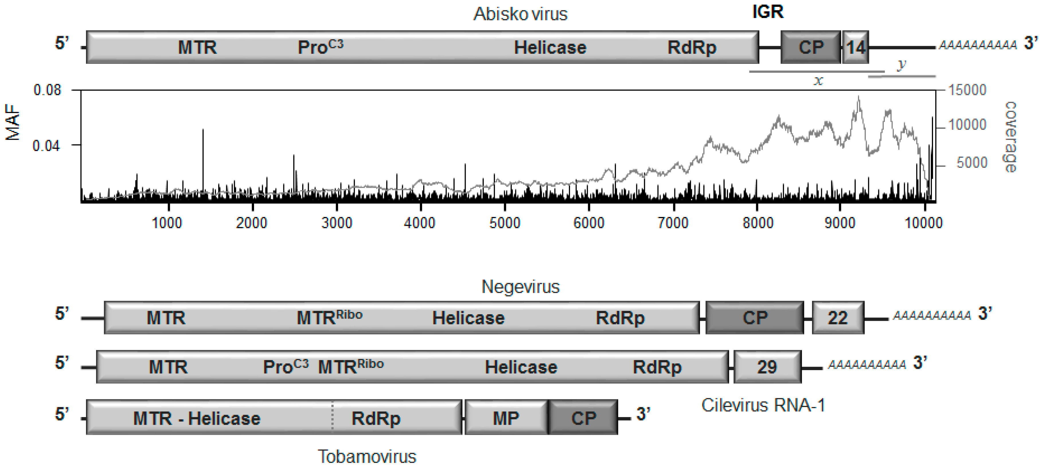 Viruses 09 00214 g001 Viruses 09 00214 g001